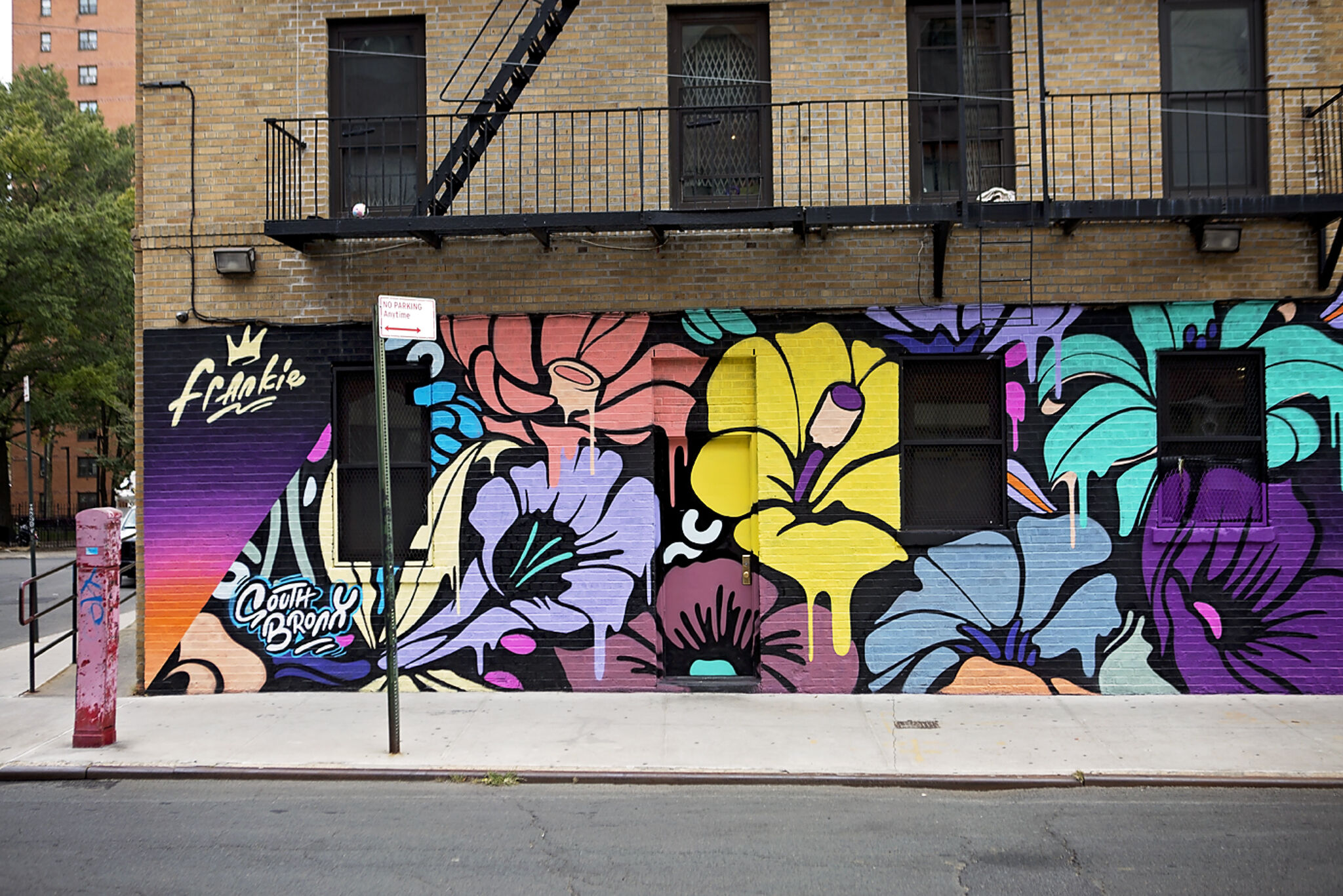 nerone&mdash;South bronx
