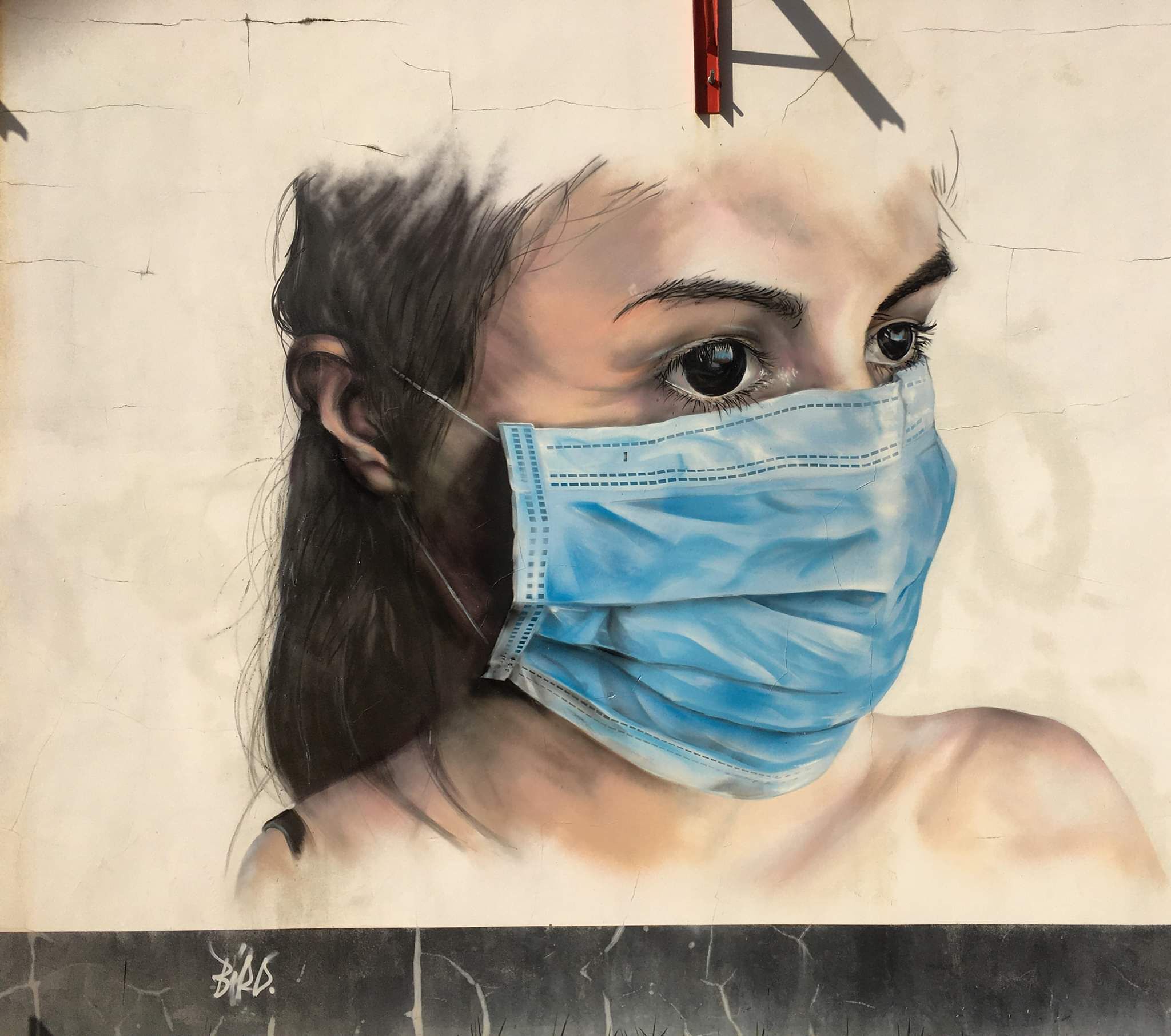 Bird&mdash;These heroes wear masks