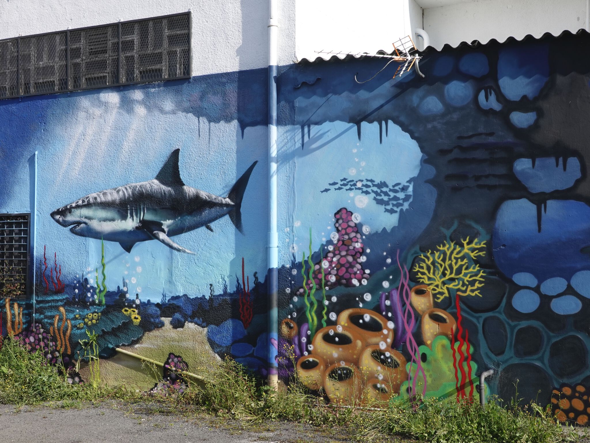Steve Camino, mezclandocolores83&mdash;White Shark