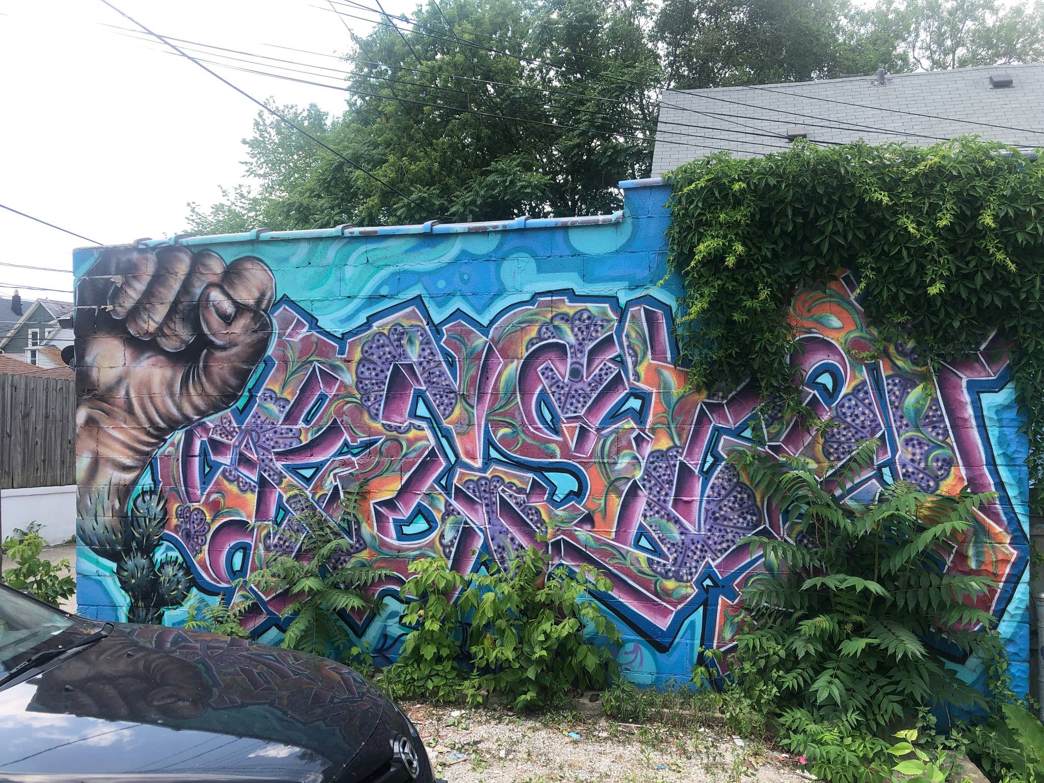 Ramiro Sandoval Arguta&mdash;3 Murals