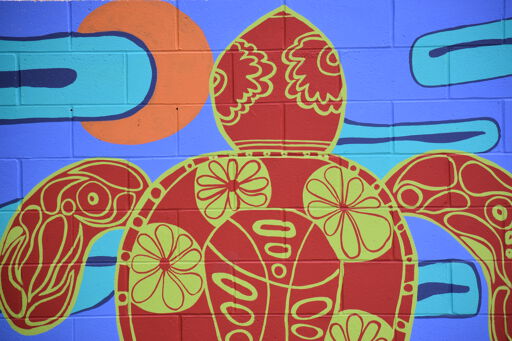 Turtles