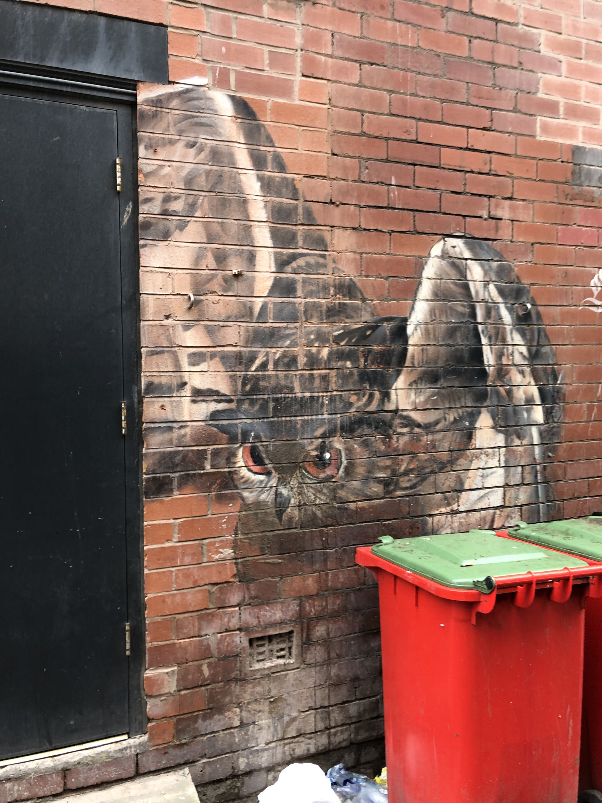Bane&mdash;Owl