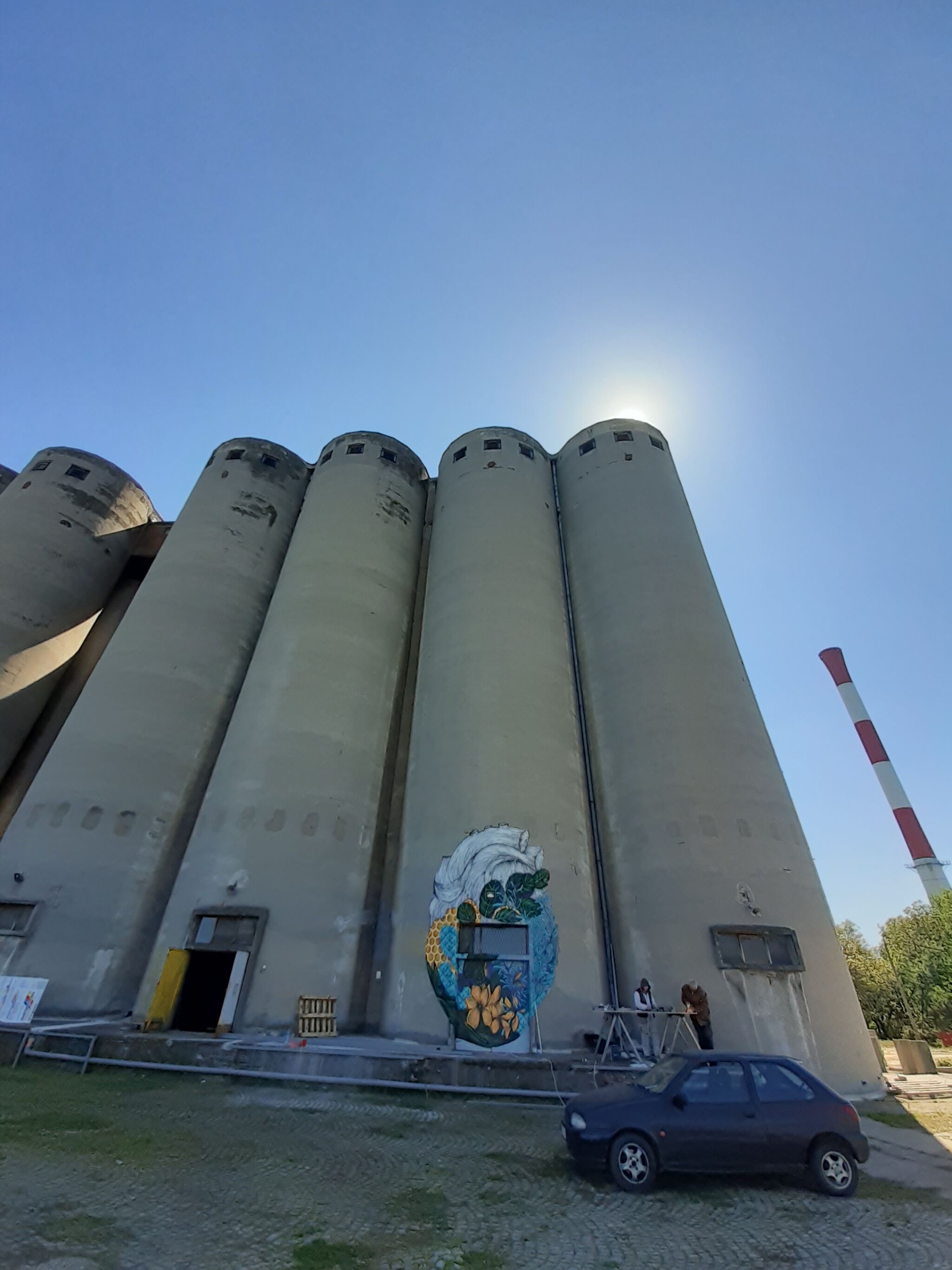 Jana Danilović&mdash;The Silo Mural