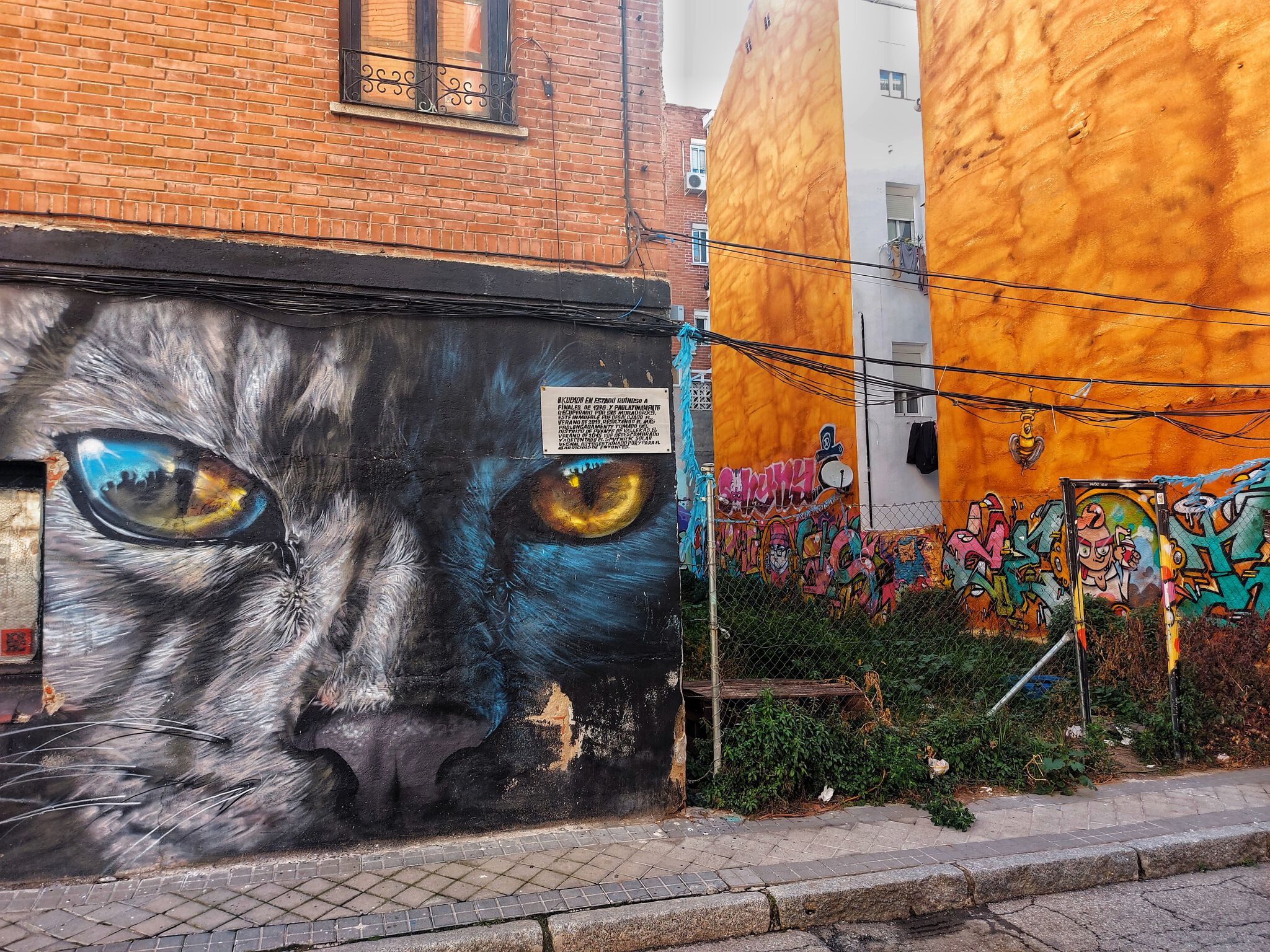 Murales Lian&mdash;Gato