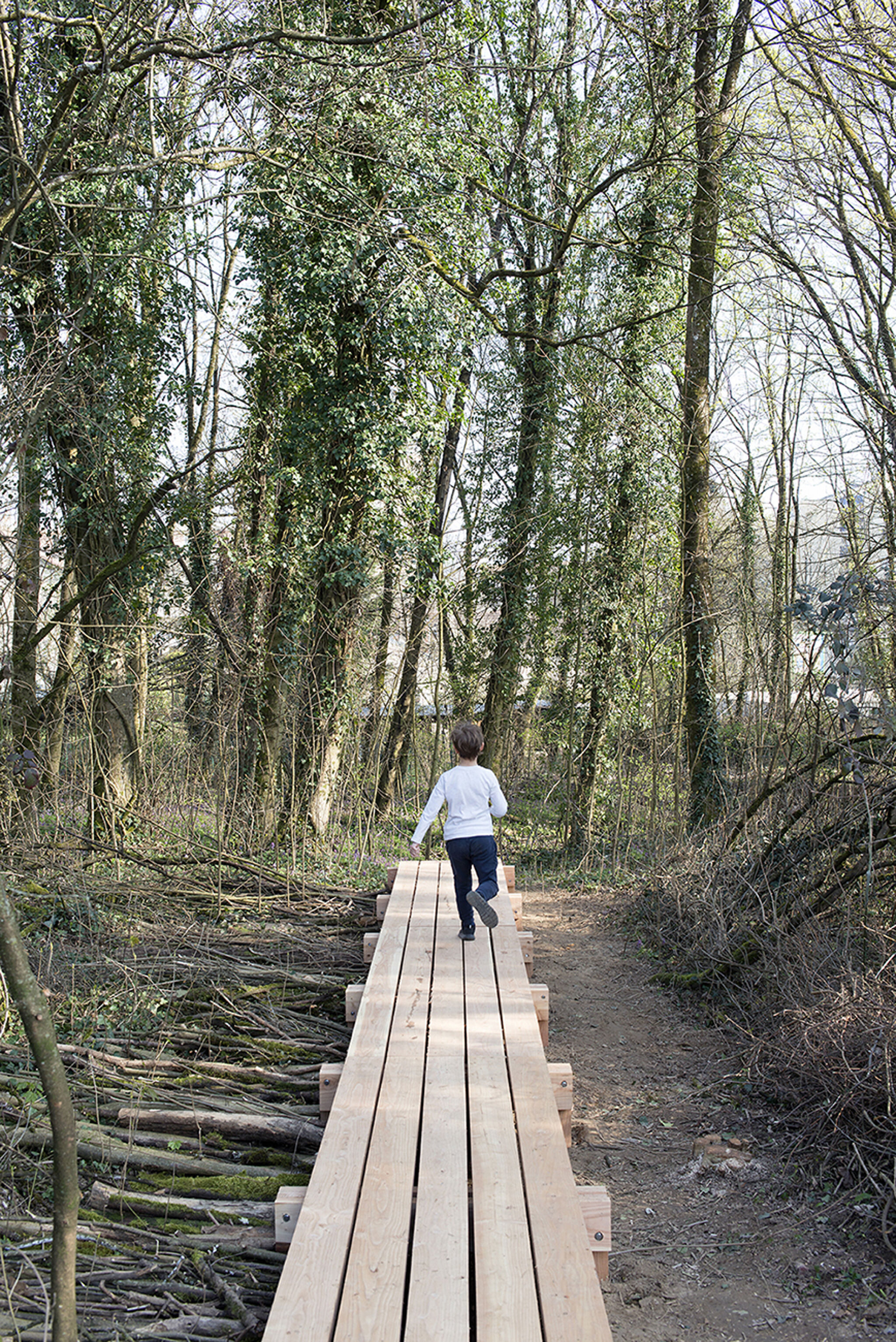 Collectif BIM, Atelier Bivouac&mdash;Transitional Botanical Garden