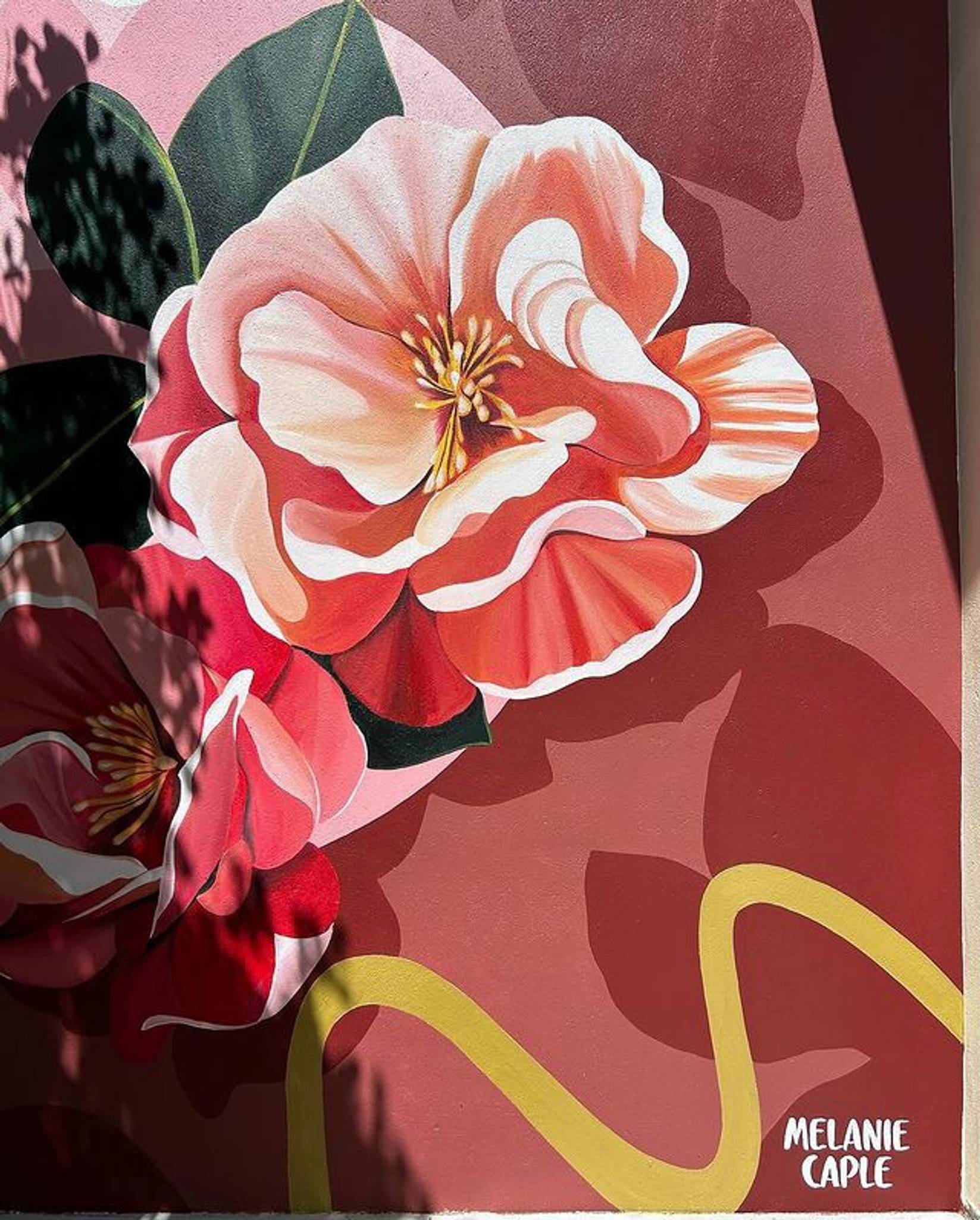 Melanie Caple&mdash;Camellias and Kitchen Garden