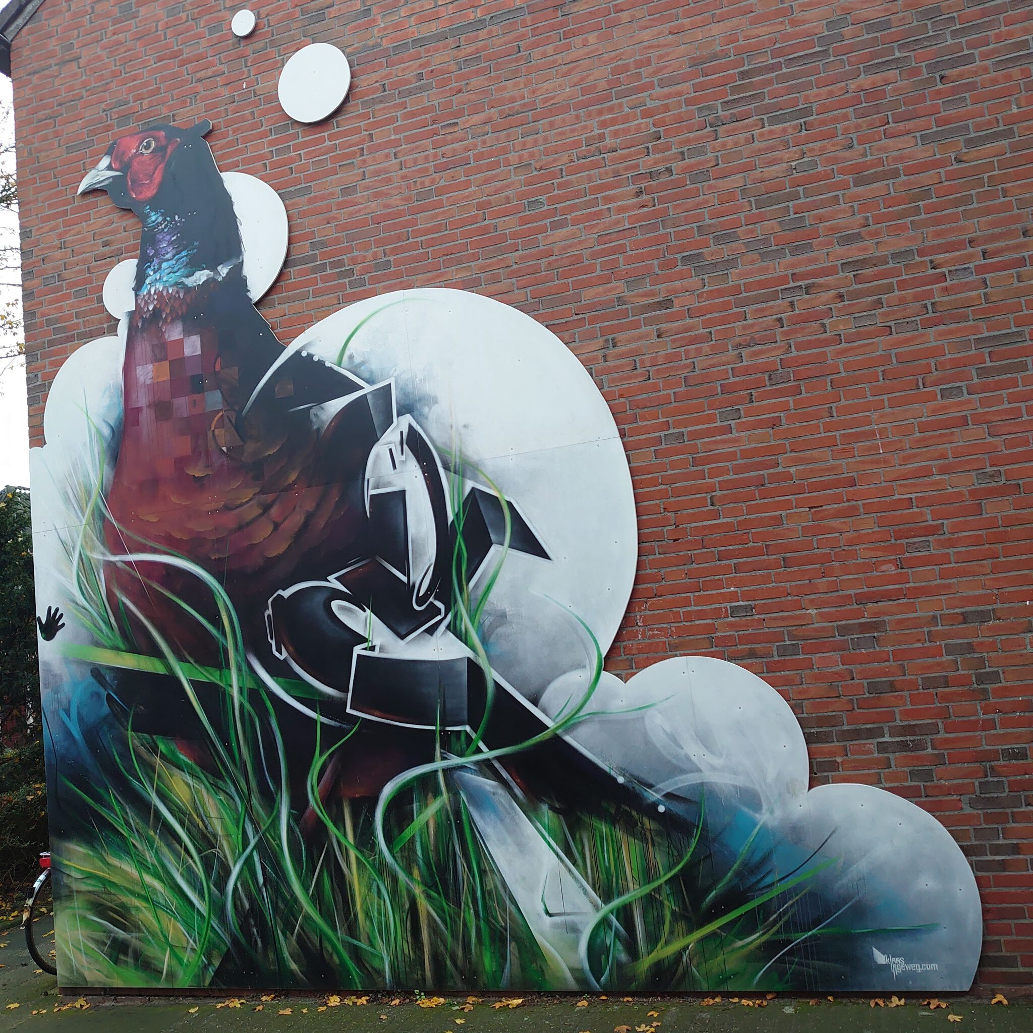 Klaas Lageweg&mdash;Fazant