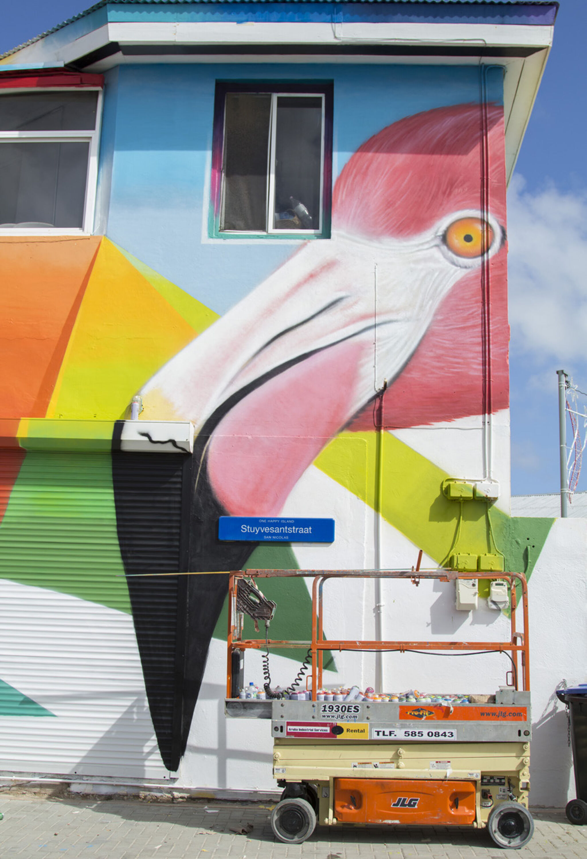 Graff Mapping&mdash;Flamingos