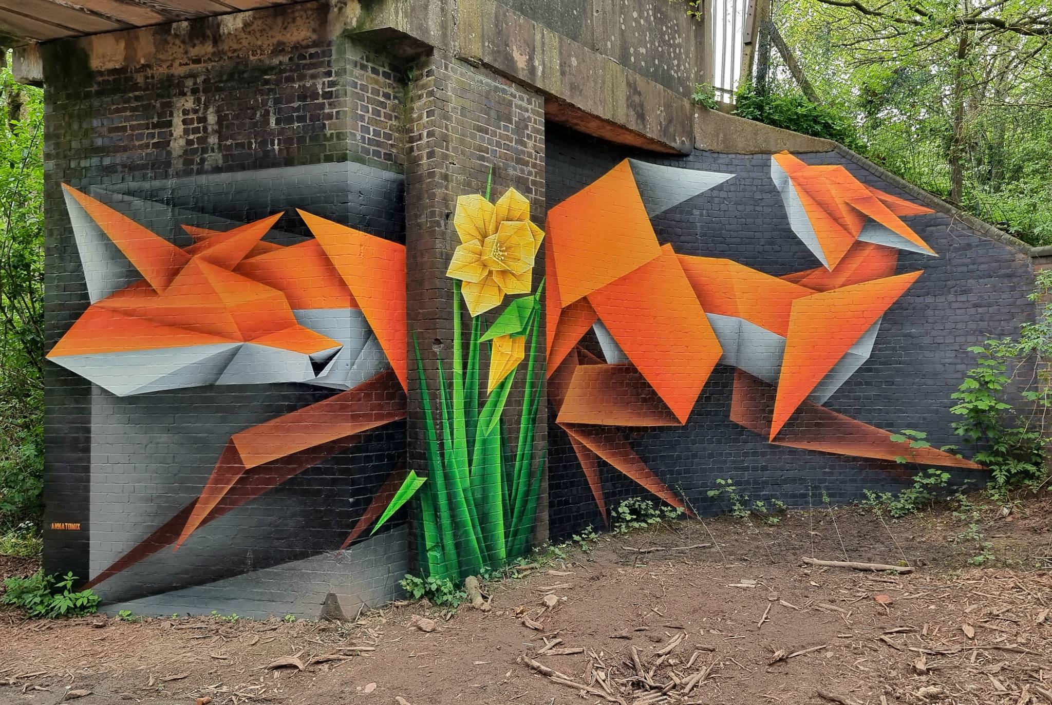 Annatomix&mdash;Longbridge Foxes