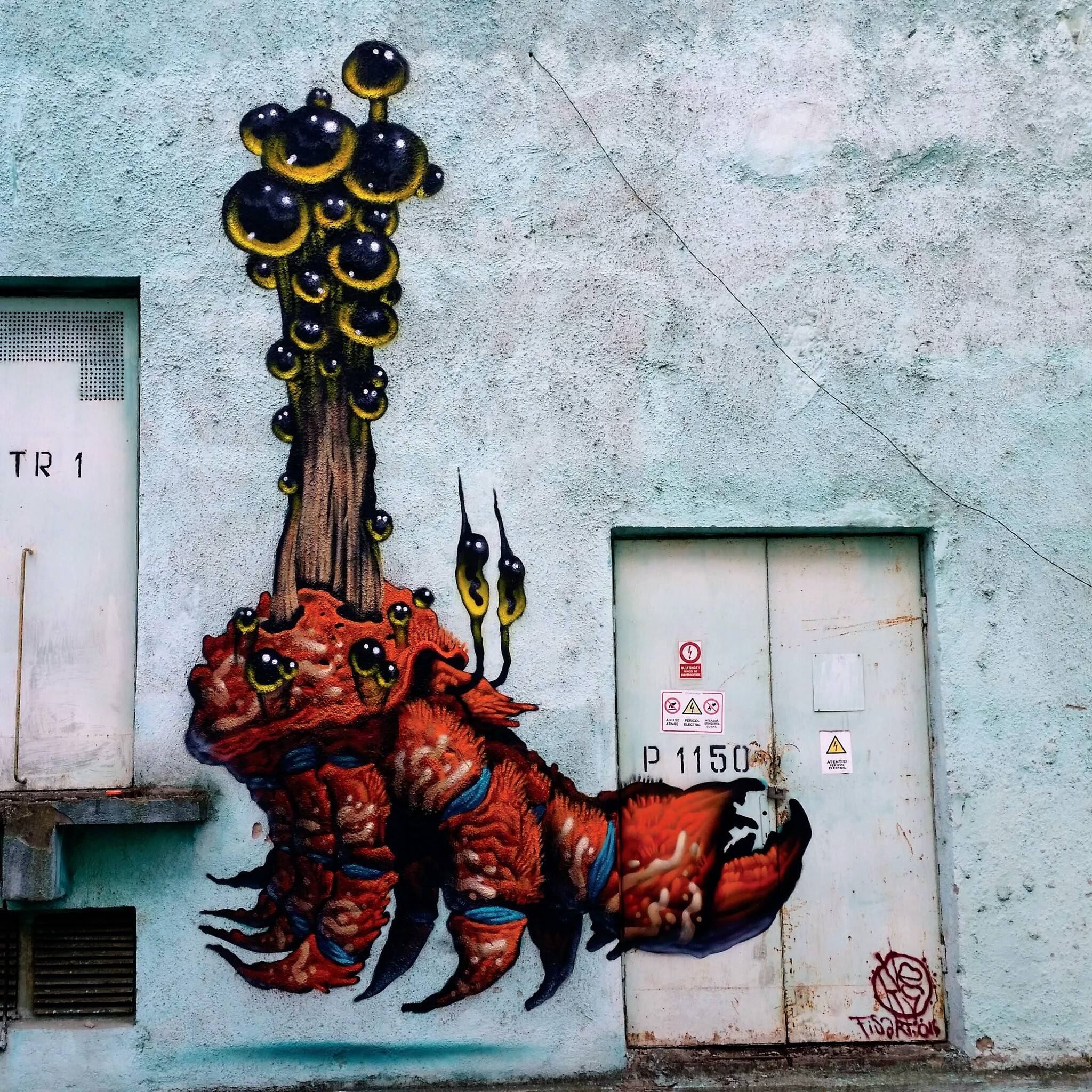 Luca di Maggio, Asisted by Corina Nani&mdash;Giant Bicyclist