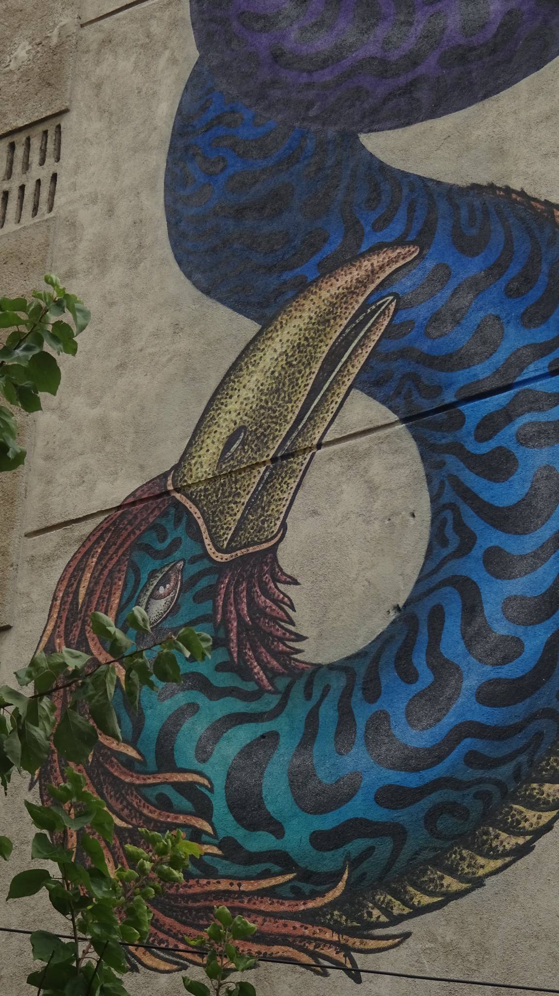 Ocu, Dima Kashtalyan (Belarus)&mdash;The Toucan Snake