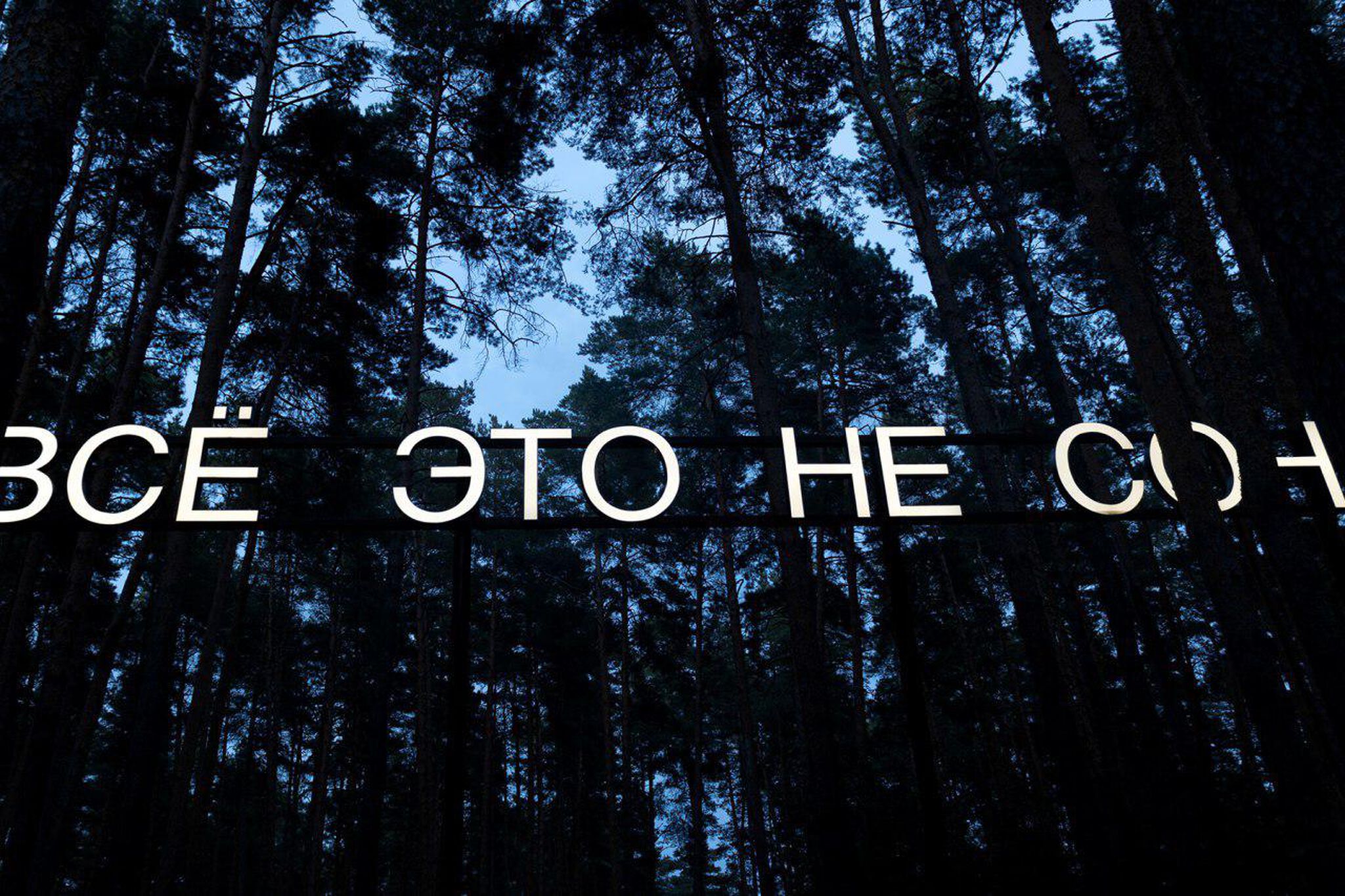 TIMOFEY RADYA&mdash;It is not a dream