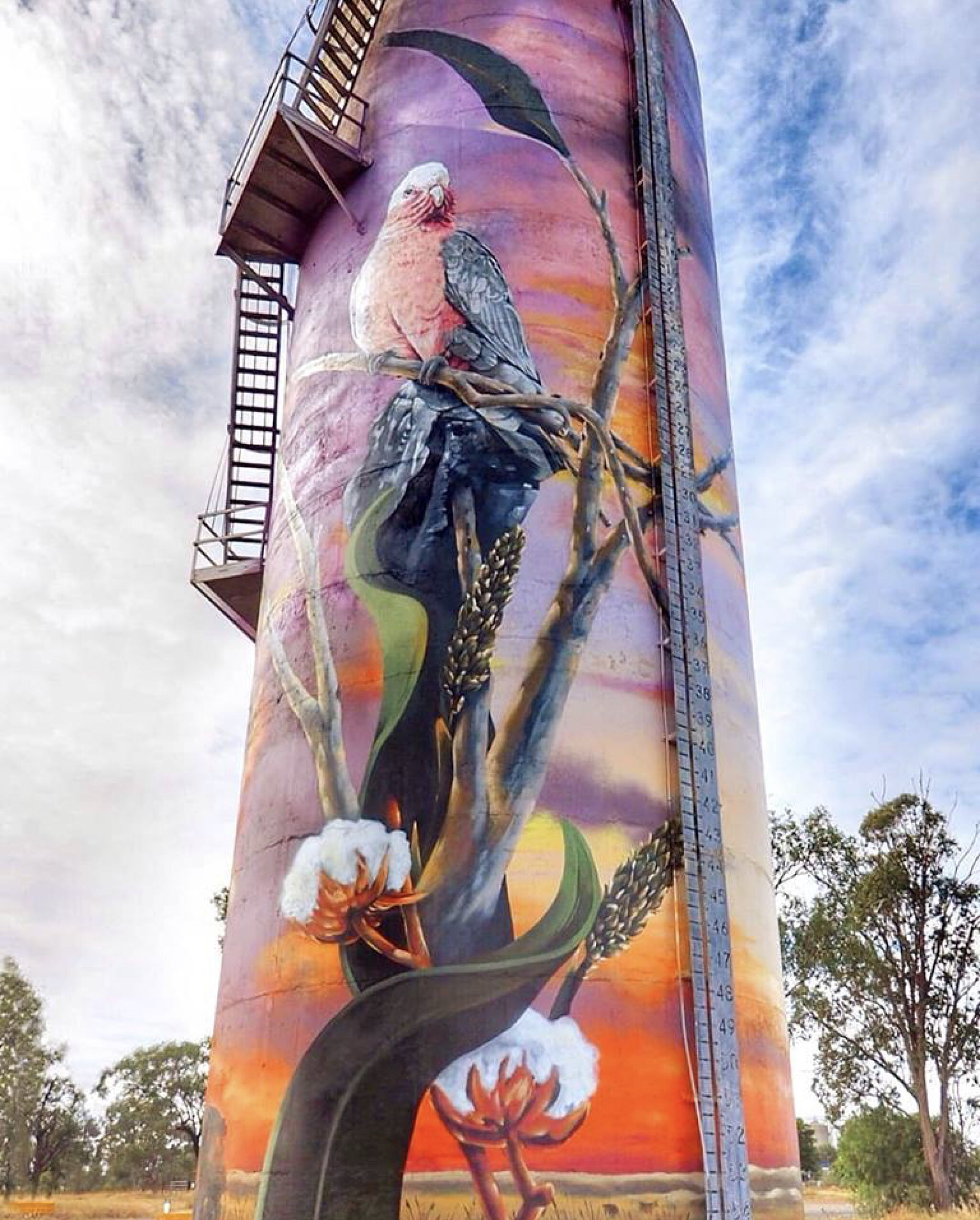 Sam Wilkinson (On The Leans)&mdash;Moura Water Tower