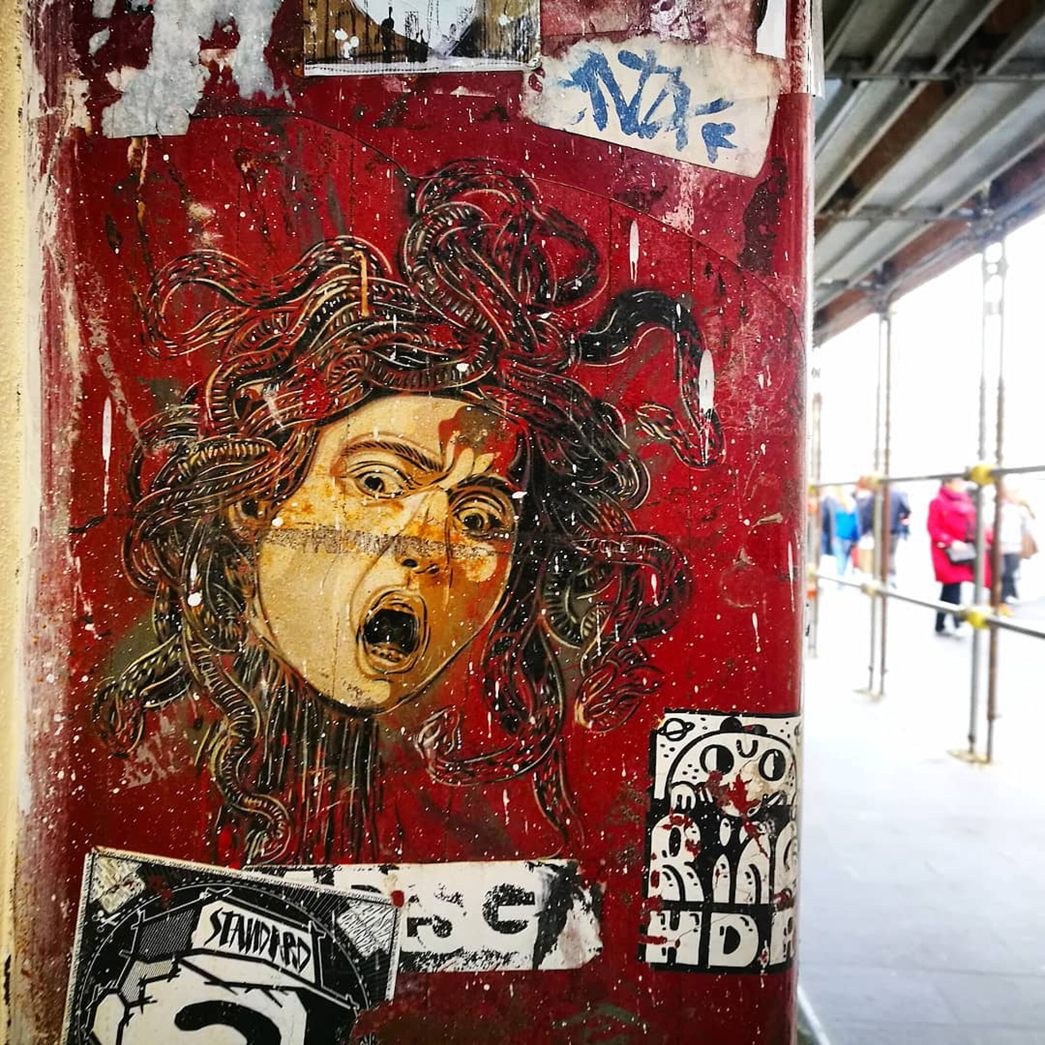 C215&mdash;Medusa