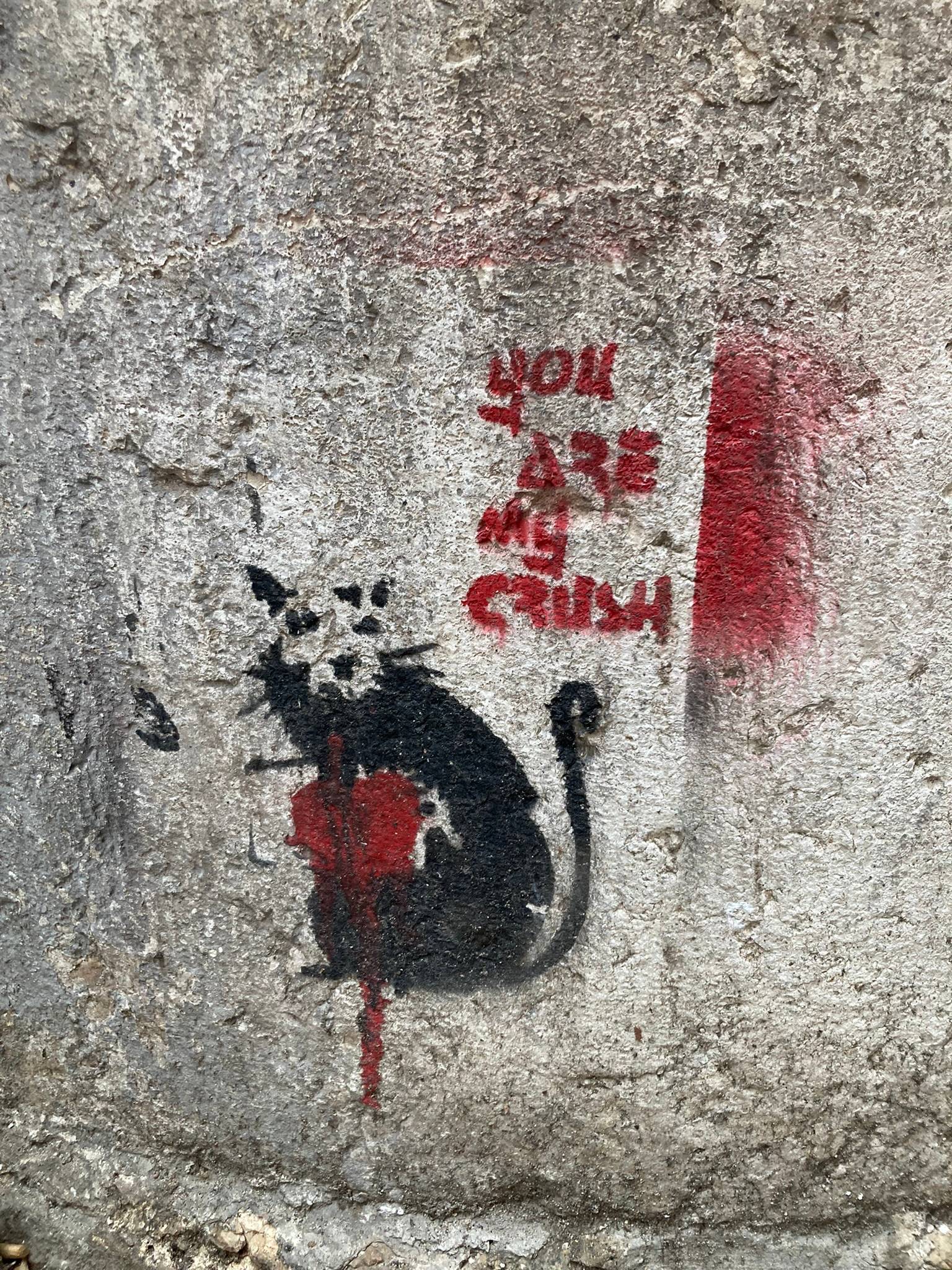 Unknown - Verona&mdash;You are my crush