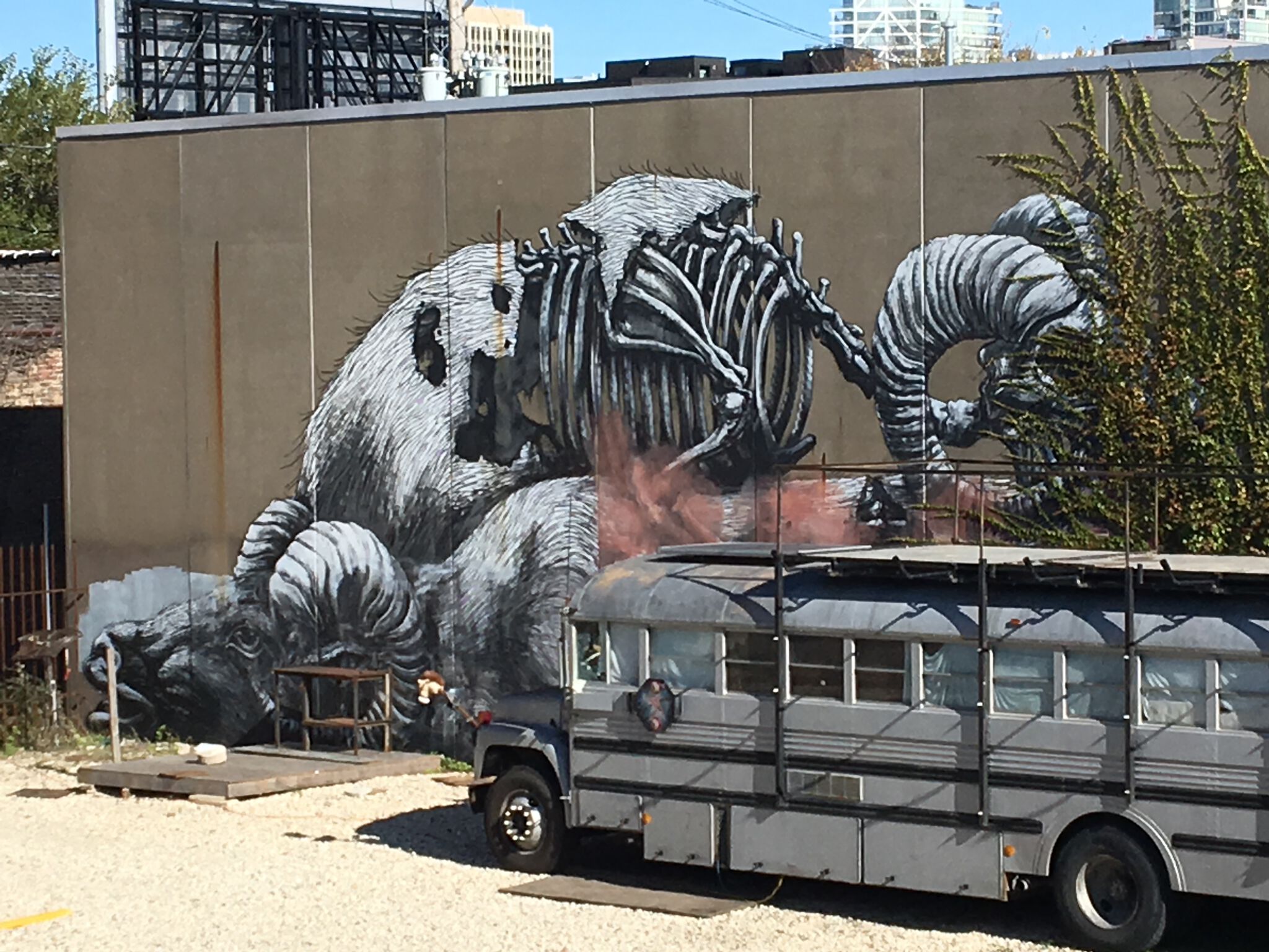 Roa&mdash;ROA