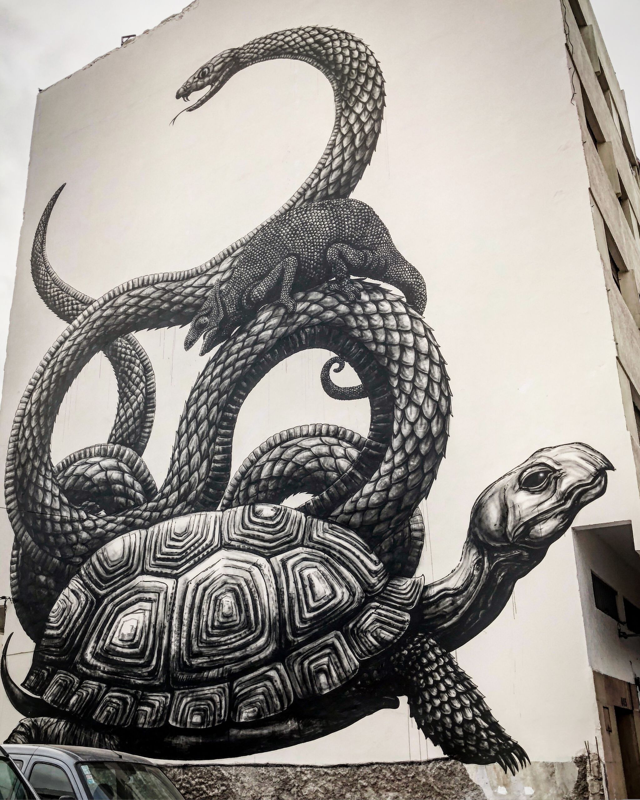 Roa&mdash;Untitled