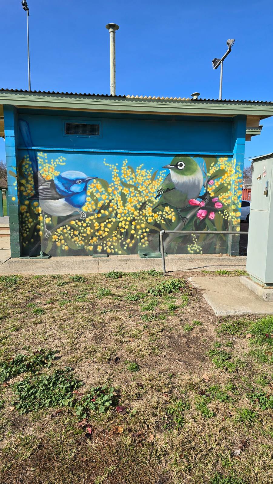 Graffik Paint&mdash;Birds of Canberra