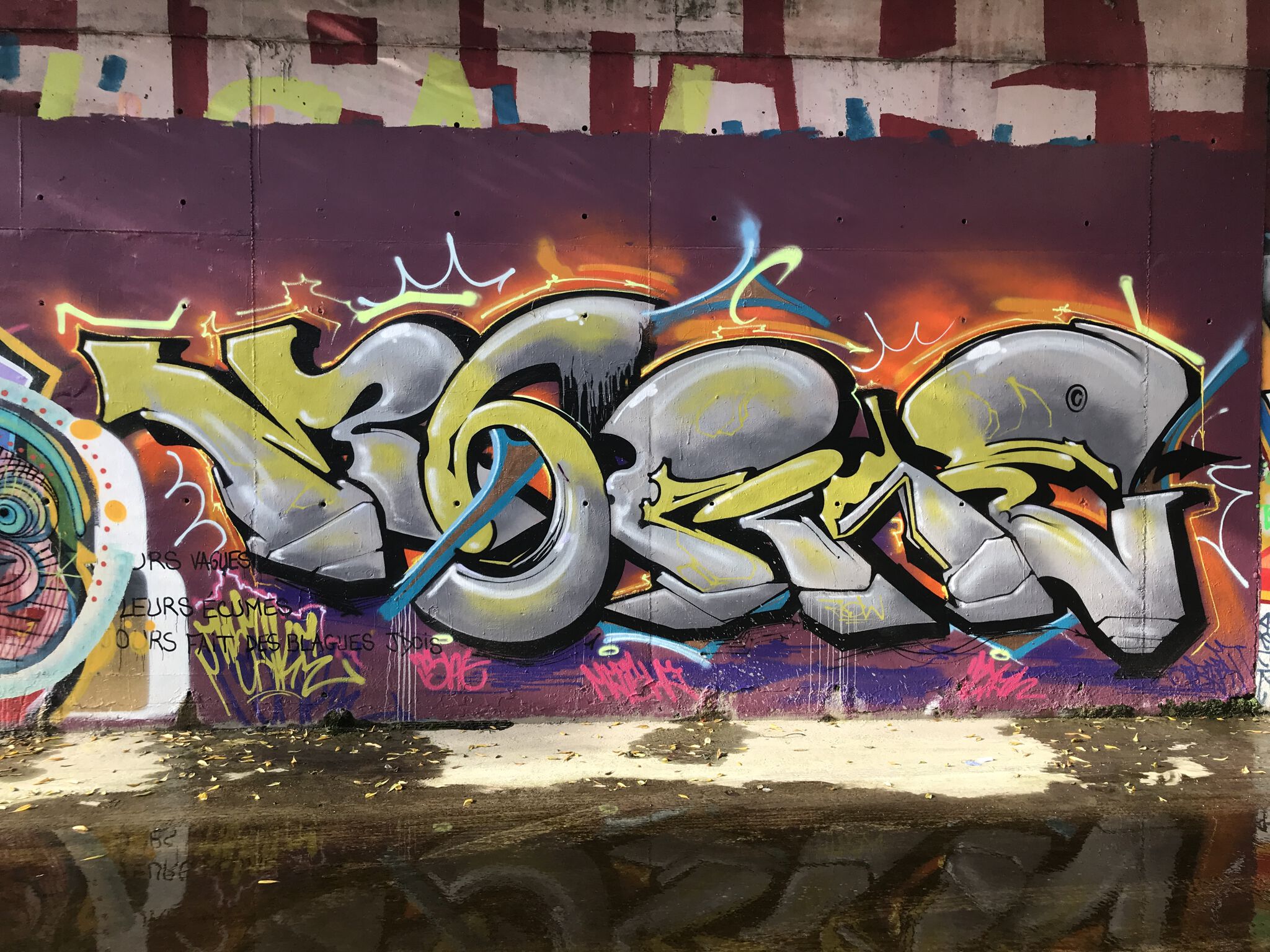 Unknown - Montpellier&mdash;Unknown artist Verdanson 4
