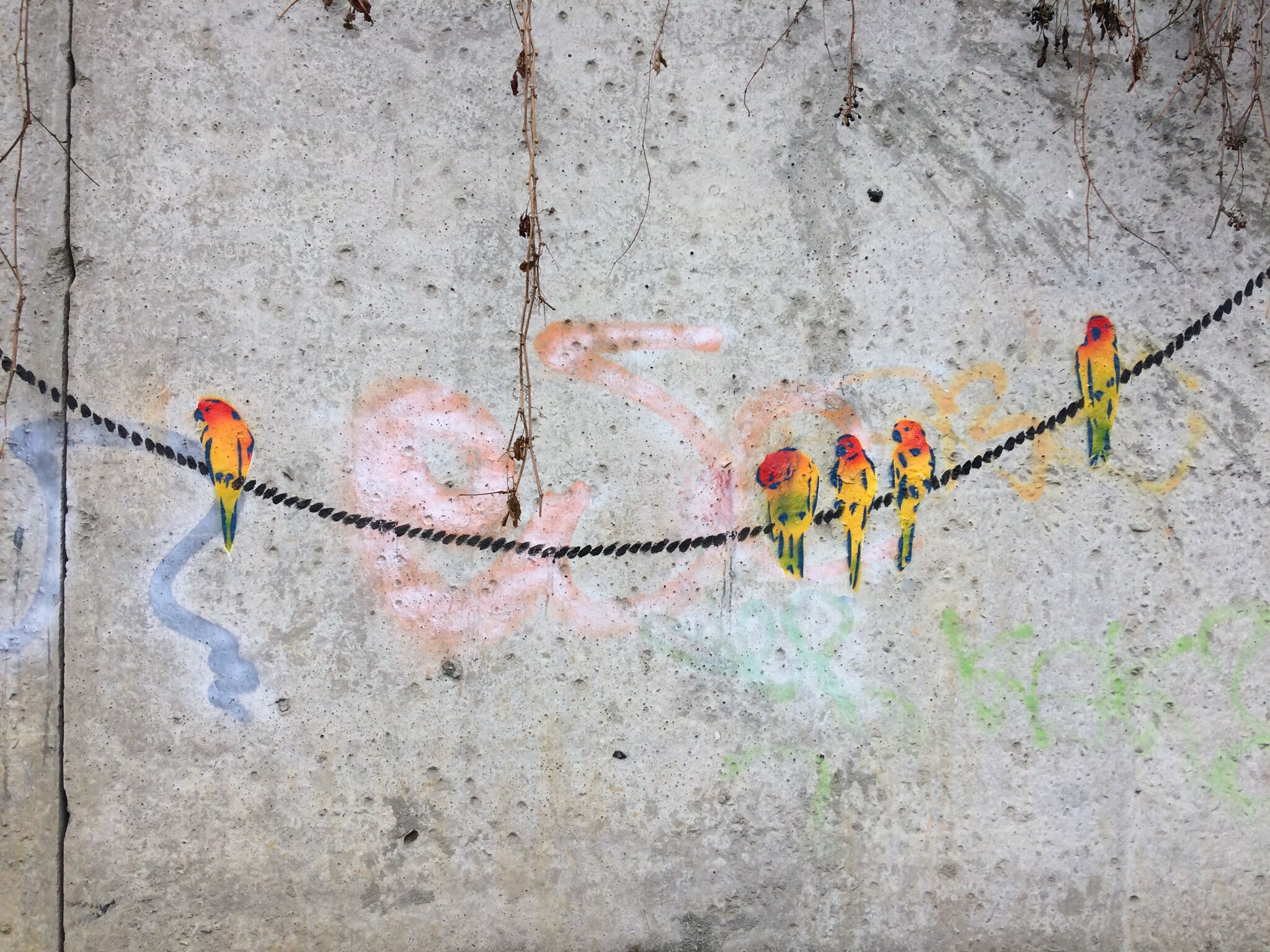 Ovs9n&mdash;Birds