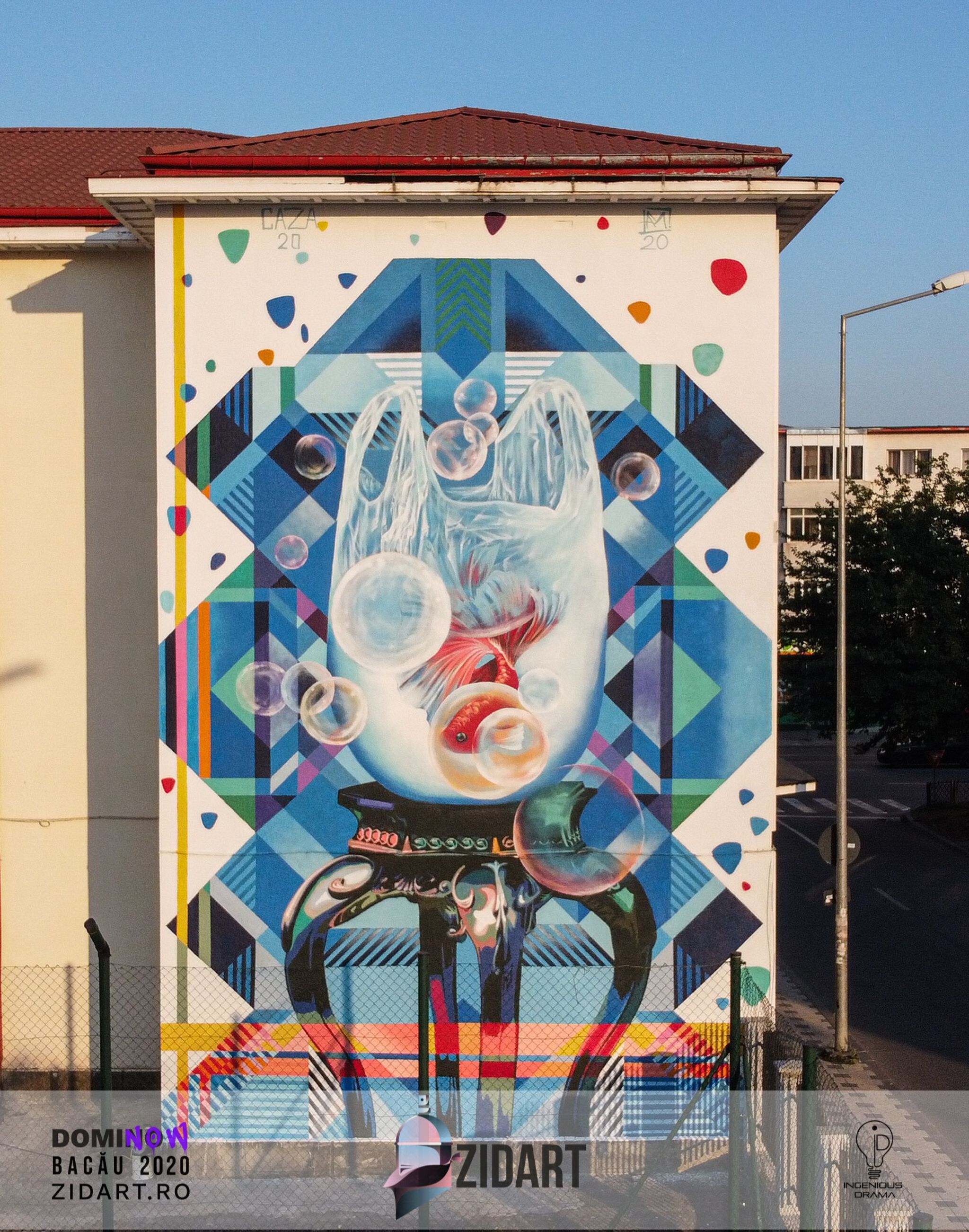 Bogdan Cazacincu, Alin Mihail&mdash;Awareness