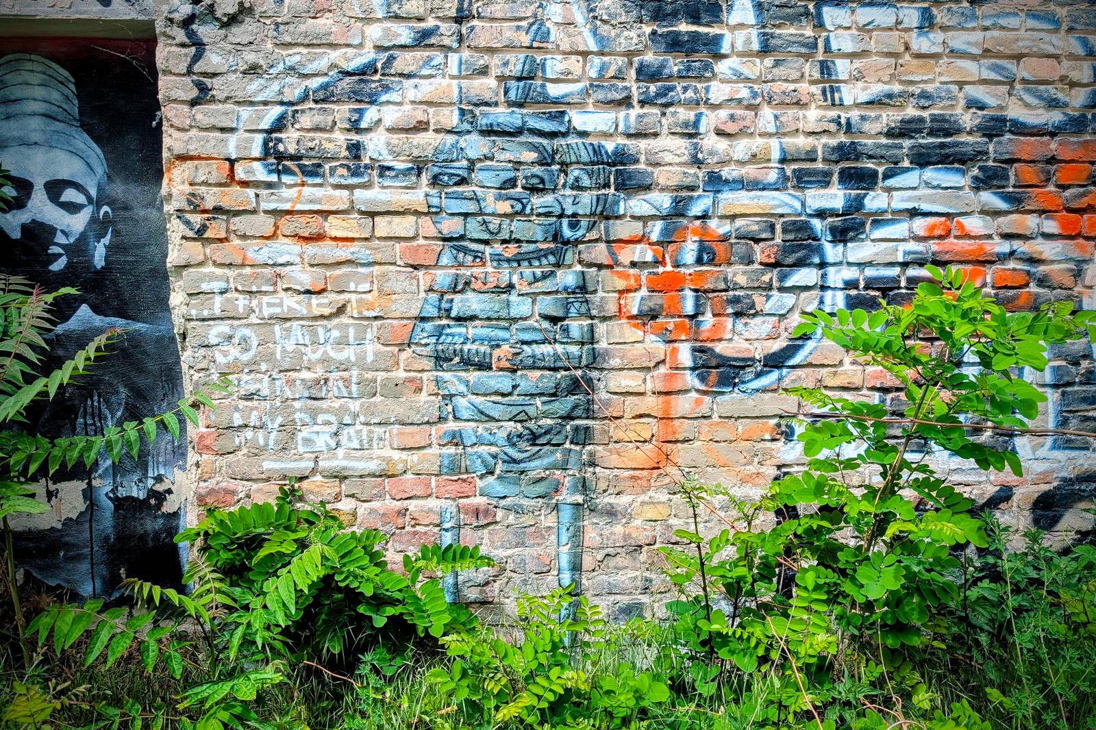 Cranio&mdash;Lost in the City