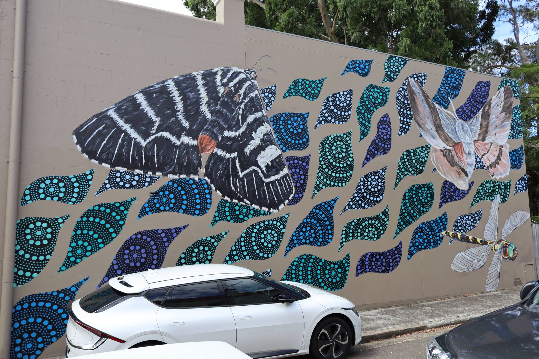 Alex Bebbington, Saltwater Dreamtime&mdash;Fishers Reserve Waterhole