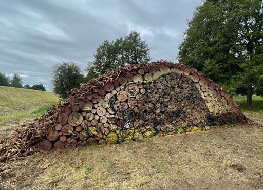 Beaver Lodge