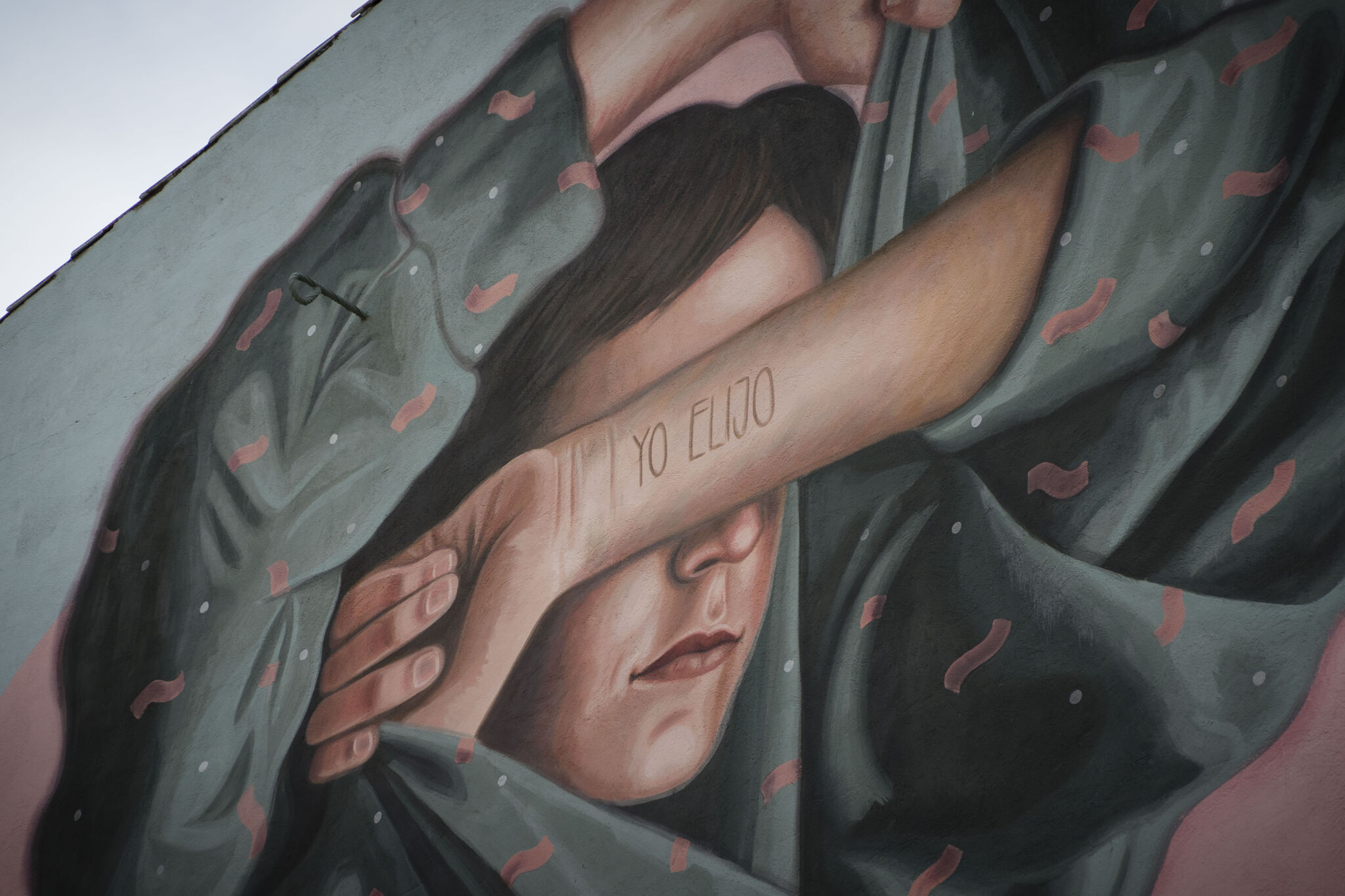FITZ&mdash;Yo elijo / I choose