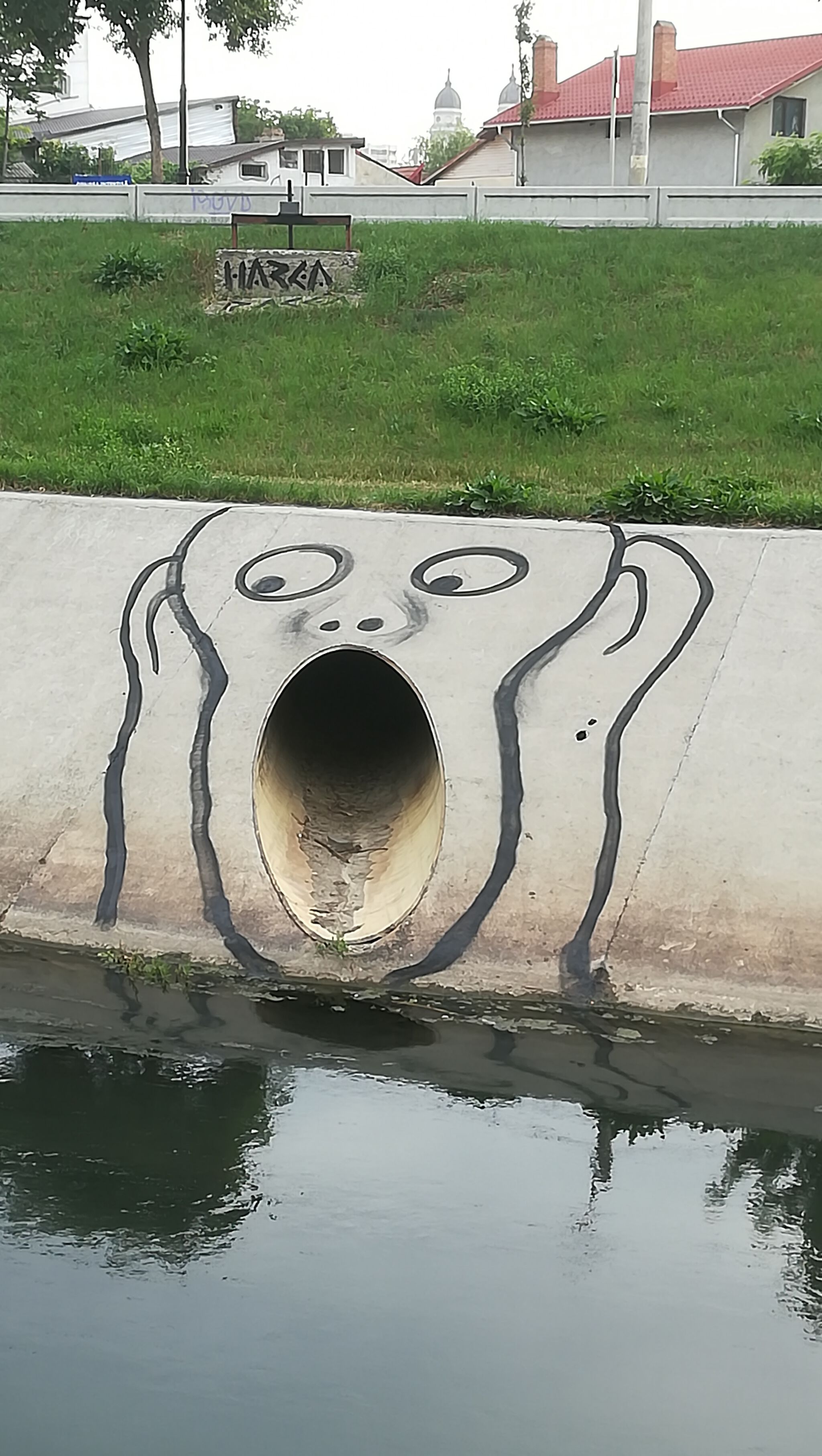 Harcea Pacea&mdash;The Scream