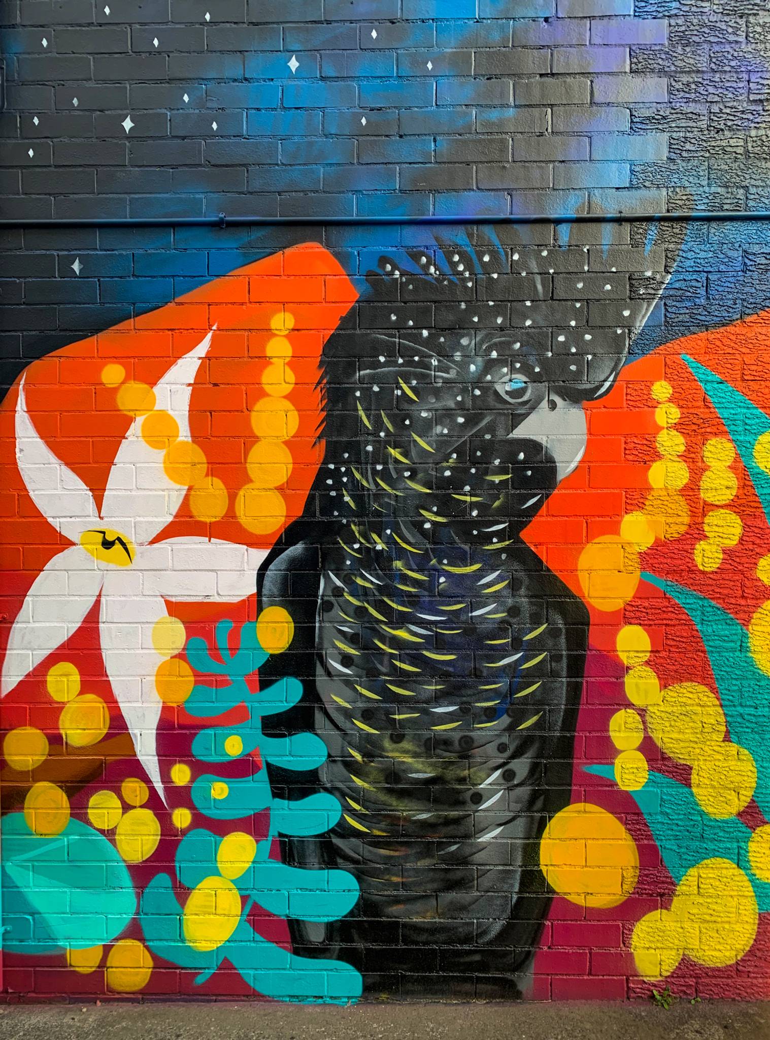David Cragg&mdash;Midnight Showdown