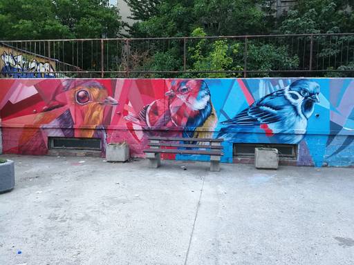 Belgrade birds