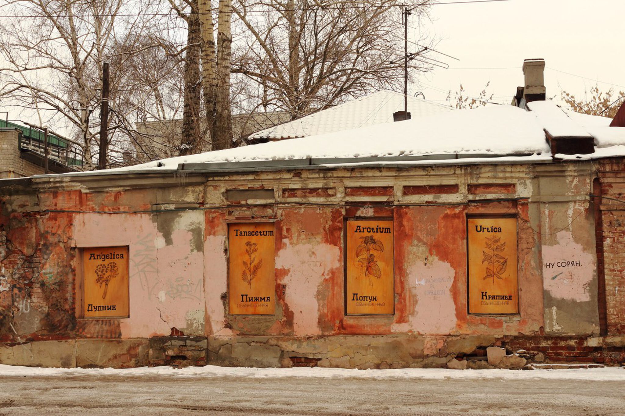 LENA LISITSA&mdash;COMMON CITIZENS