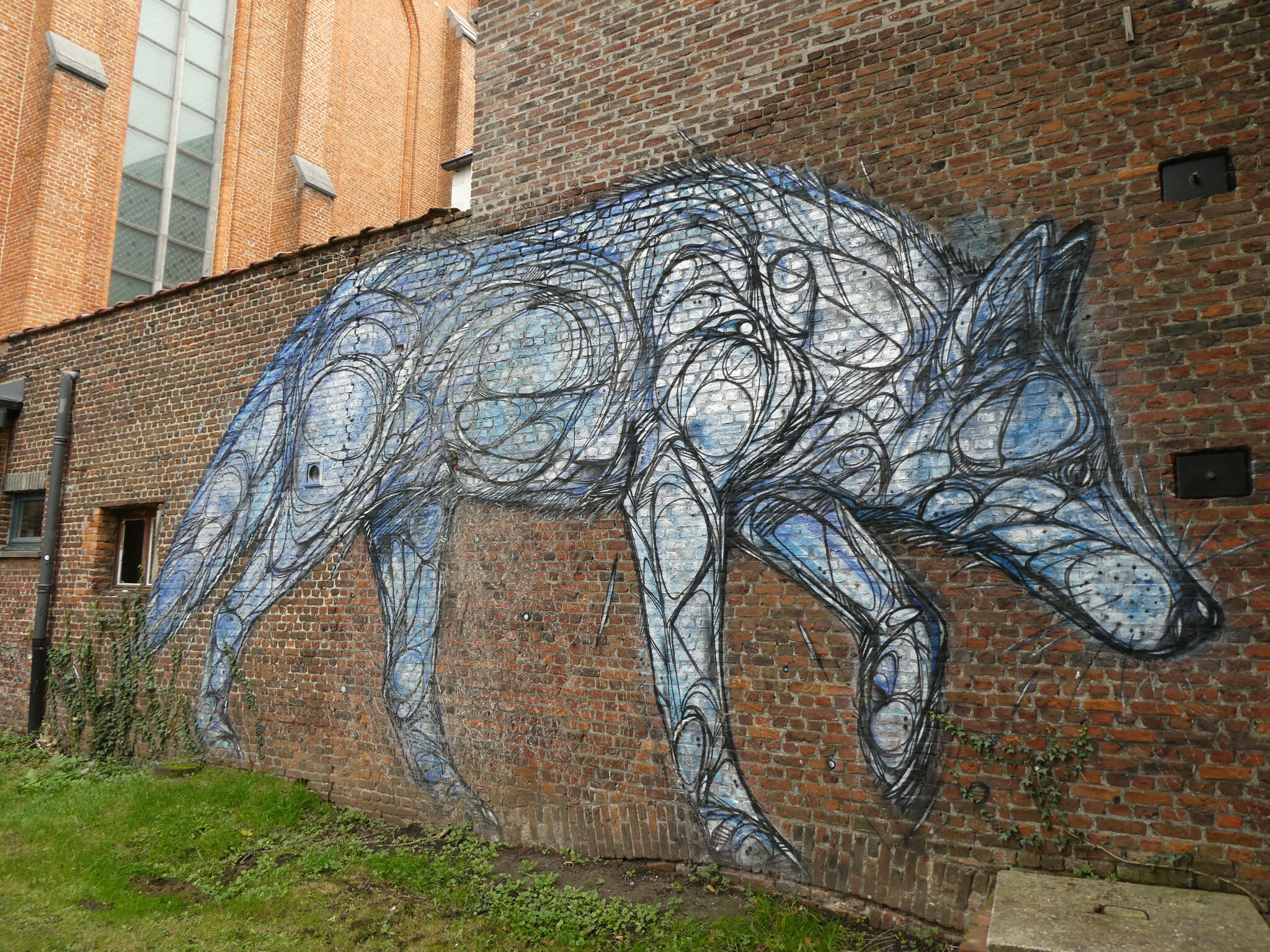 Dzia&mdash;Wolves