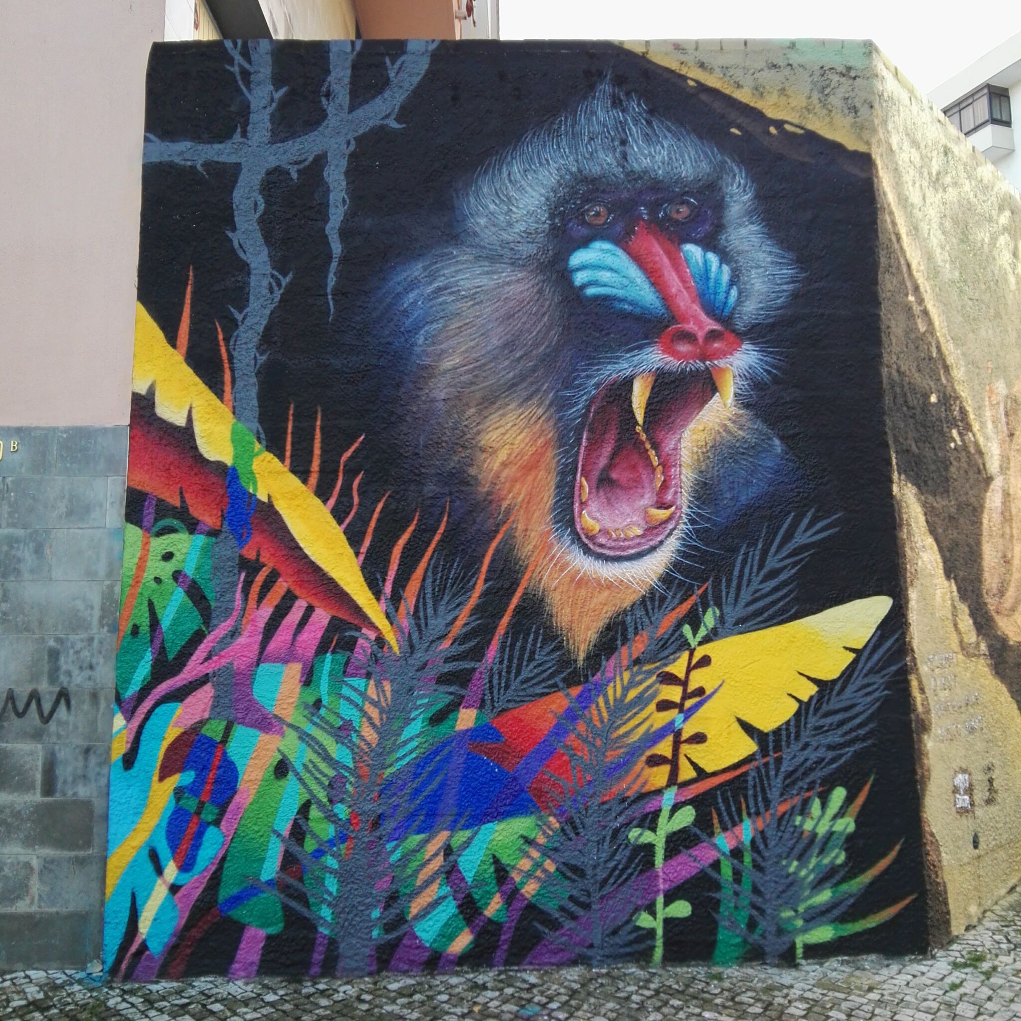 Vasco Maio, cookie rice&mdash;mandrill