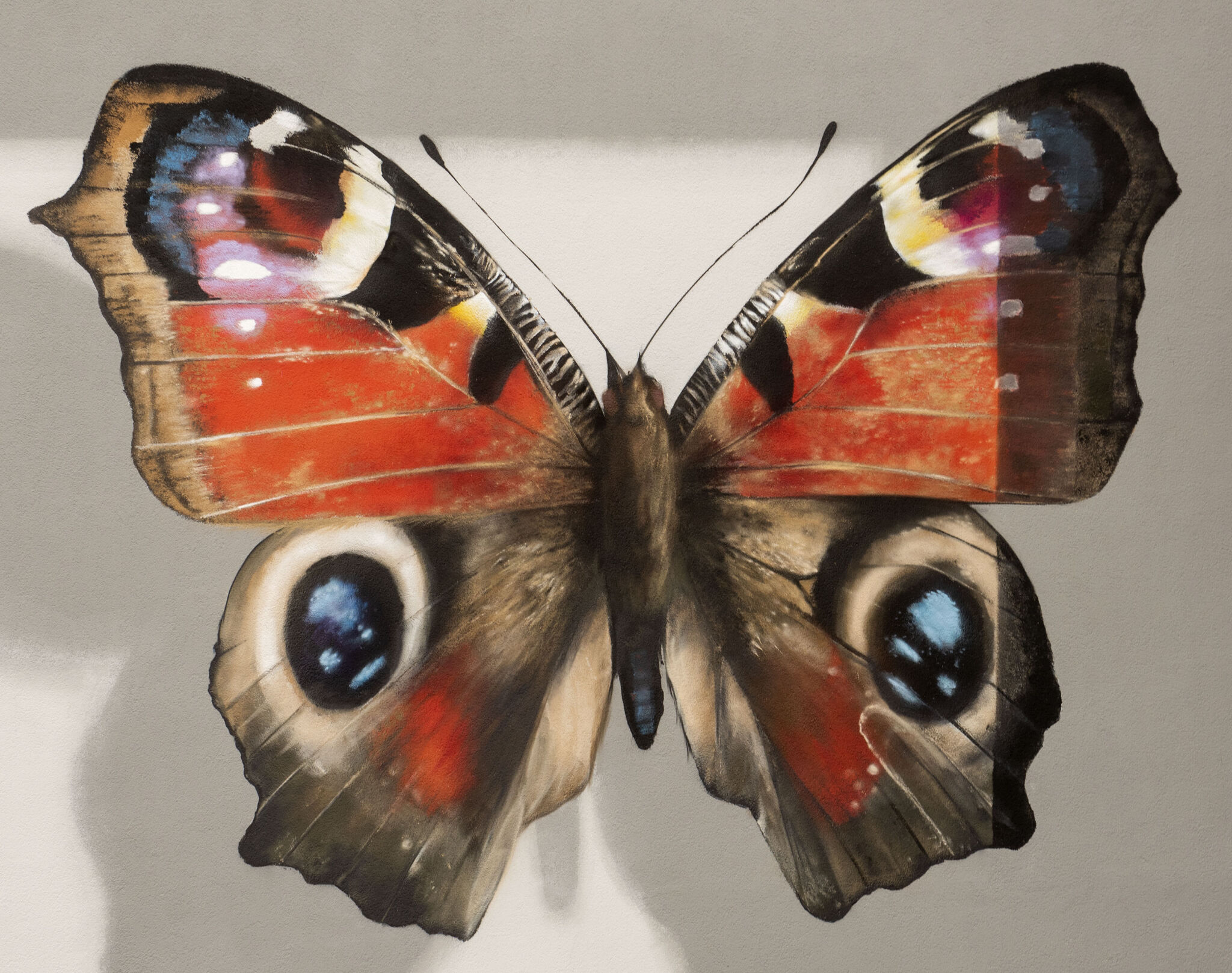 Mantra&mdash;The most beautiful butterflies of the city