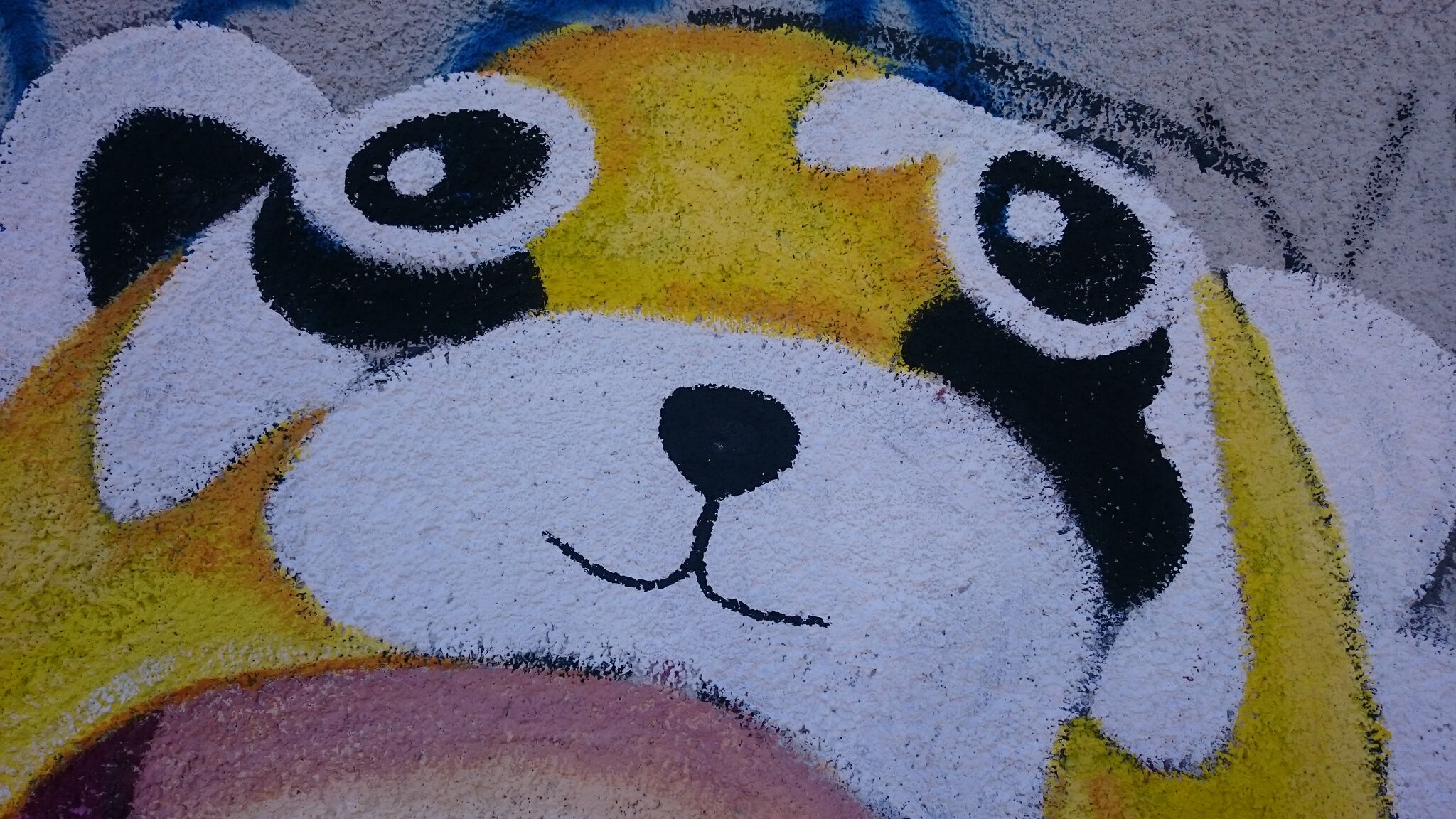Isabel tezanos&mdash;Raccoon girl