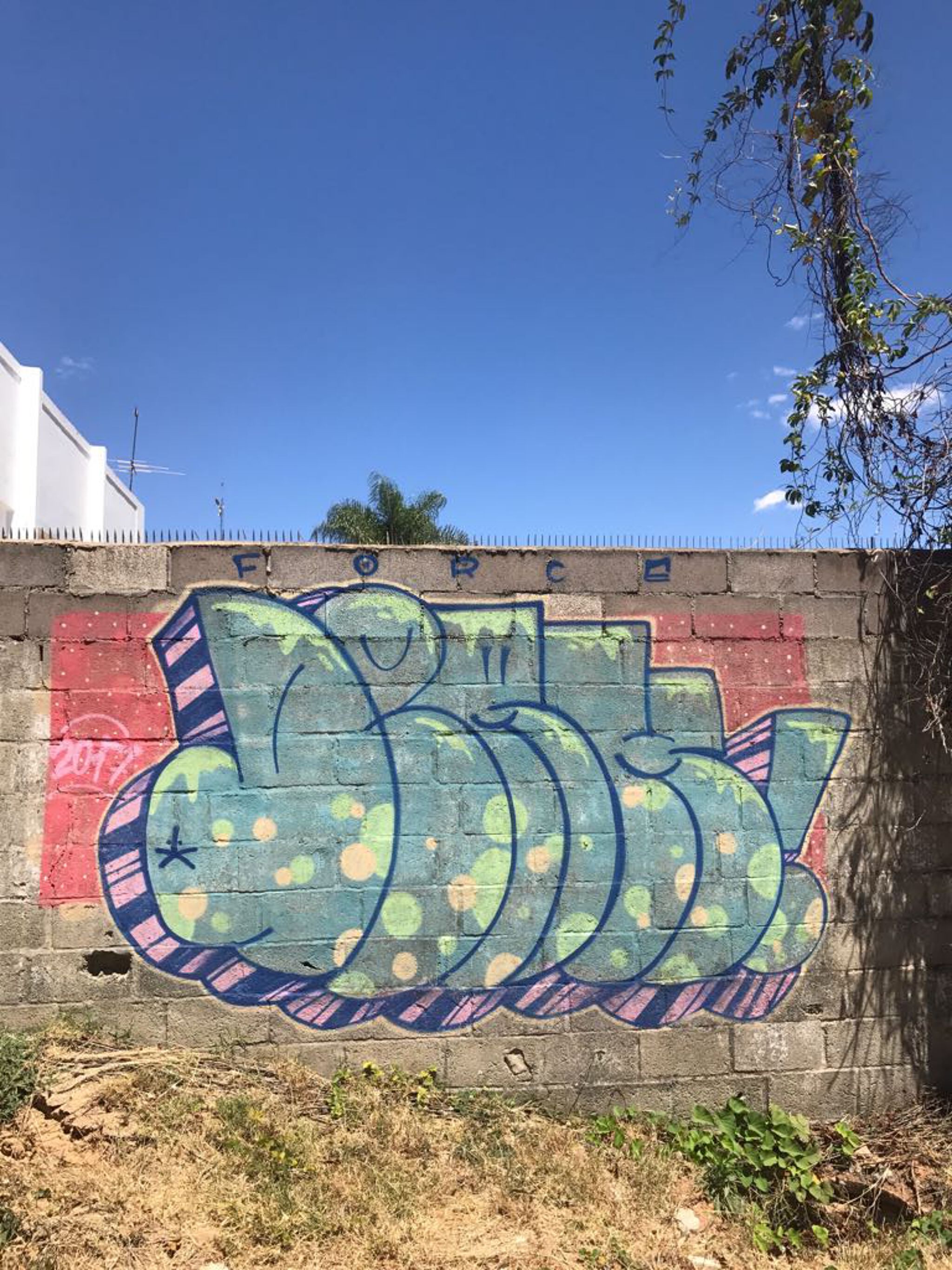 Omik, Atoismo, Toys, Eros, Derkones&mdash;Hospital art