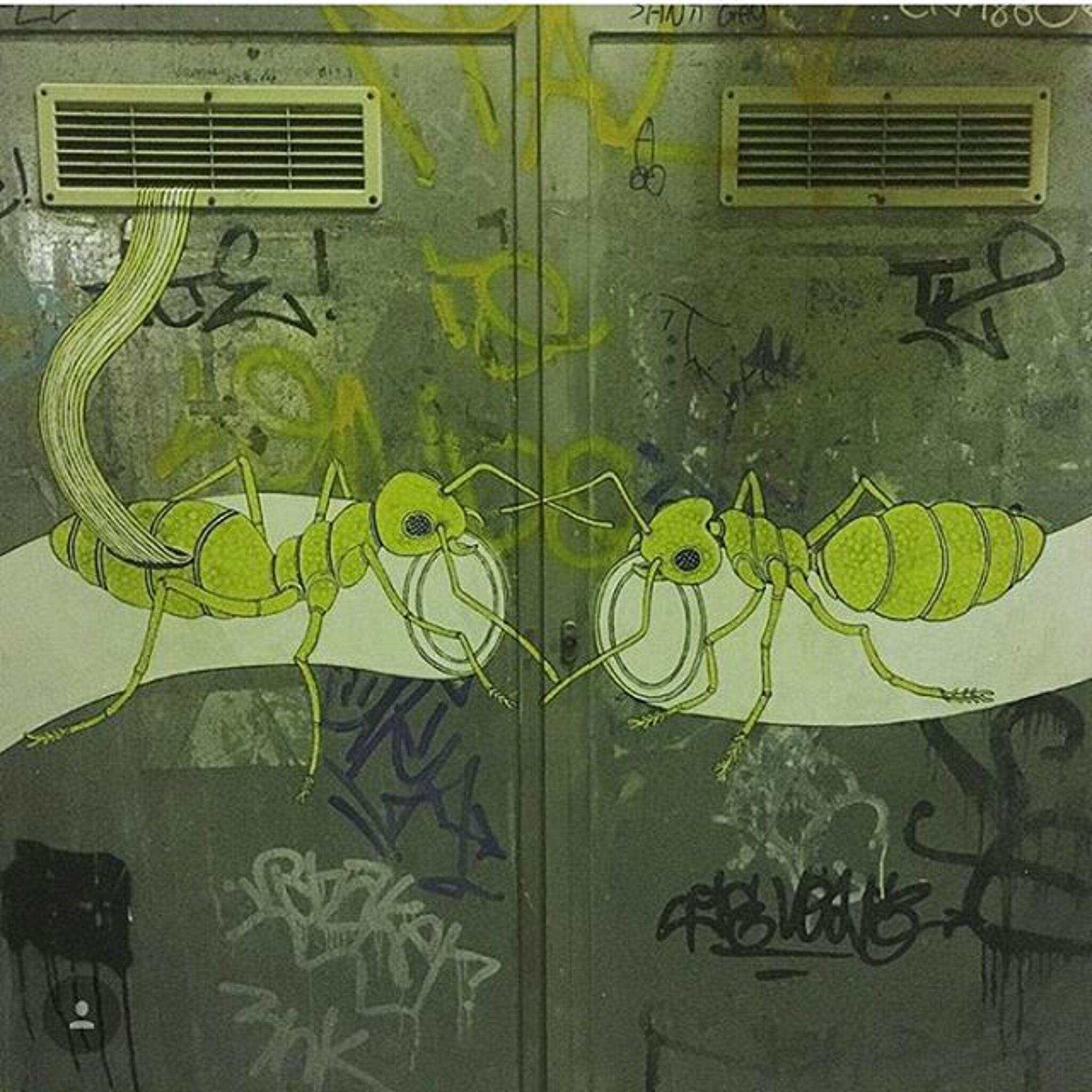 Andre the Spider&mdash;Energy Box