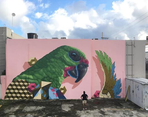 Cotorra Puertorriqueña