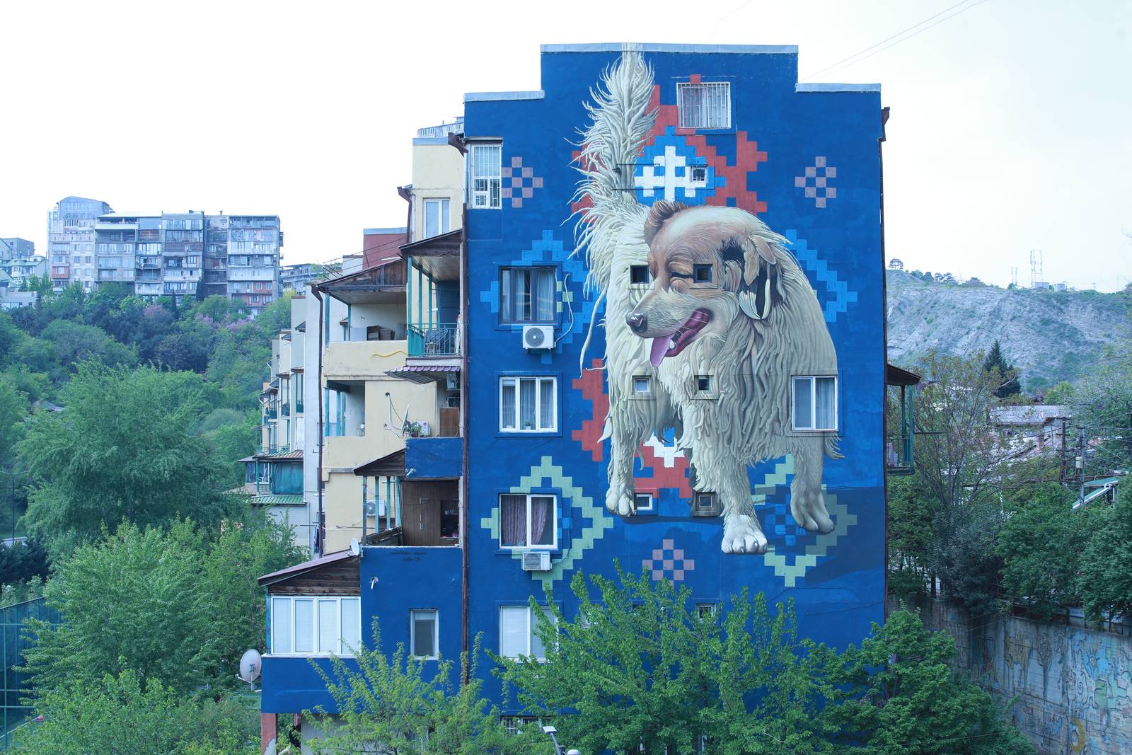 Matthias&mdash;Street Dog