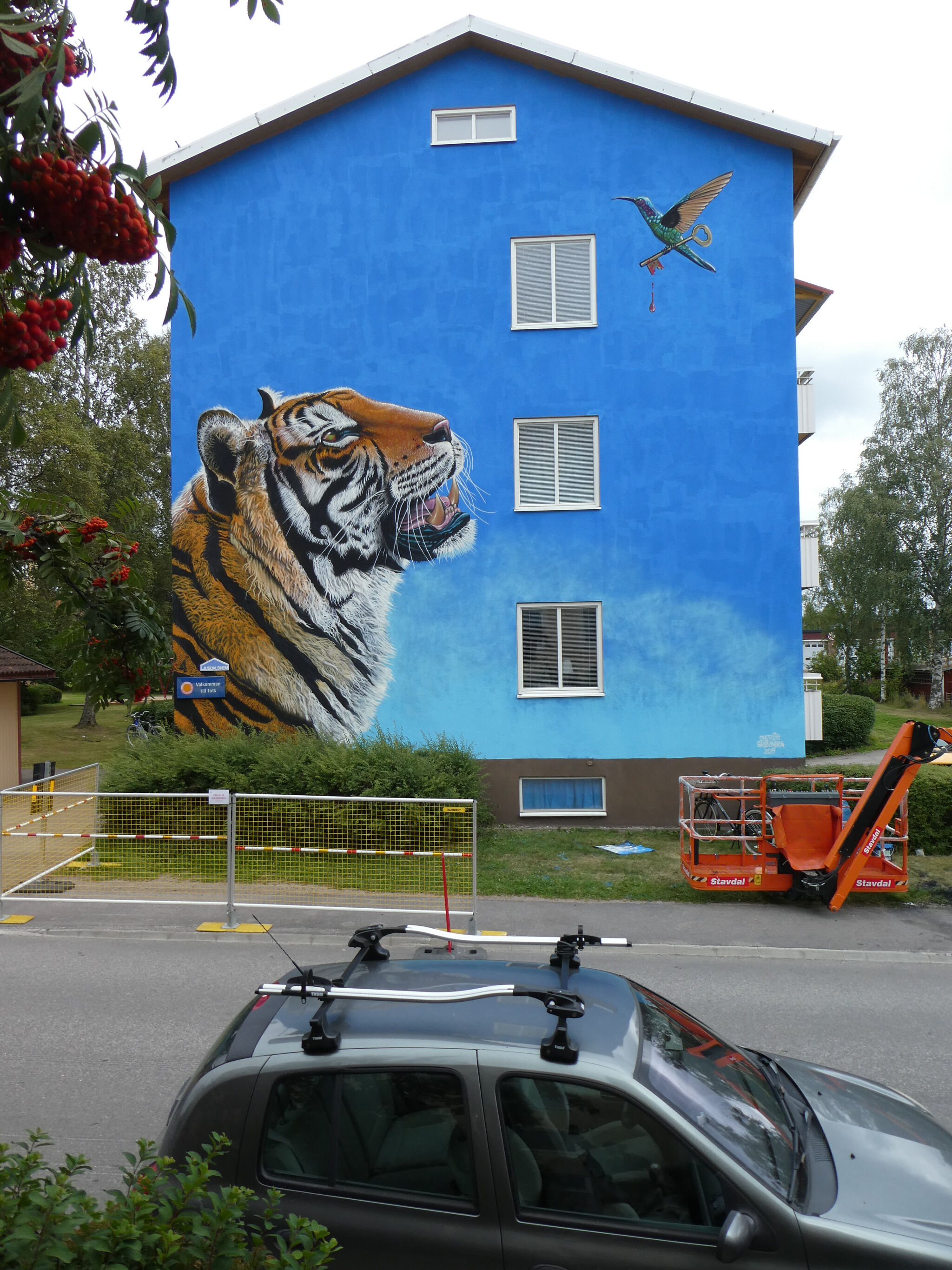 Charlie Granberg&mdash;Tiger