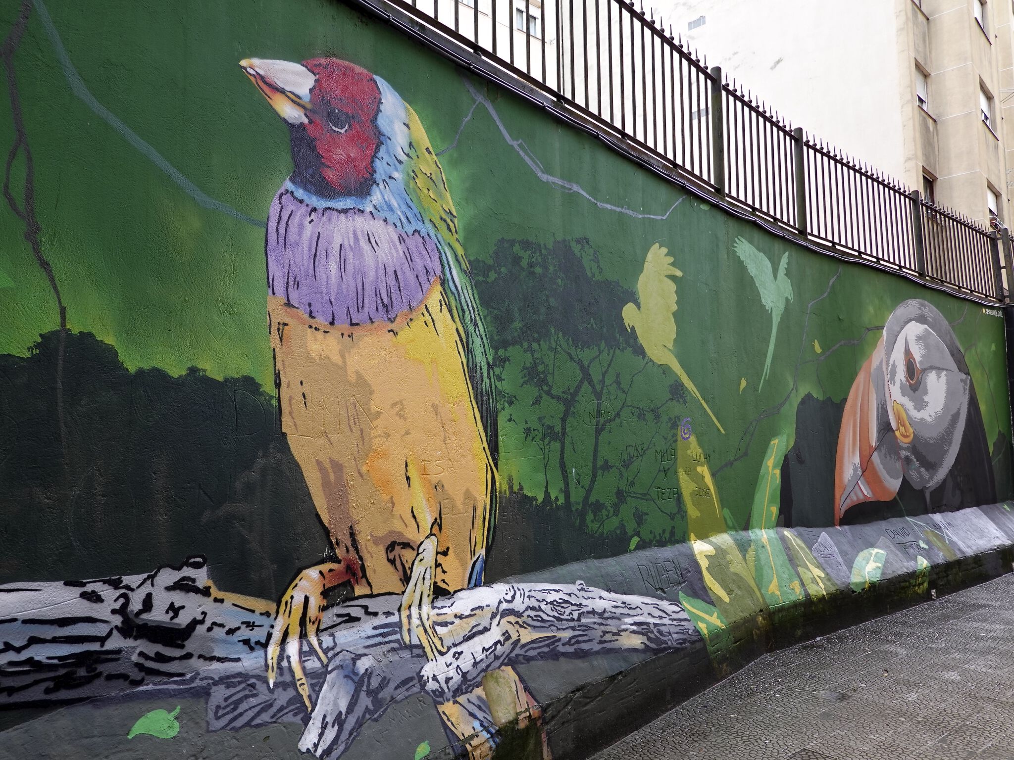DEN XL ( Eva Mena), Jank&mdash;Papagayos and Parrots