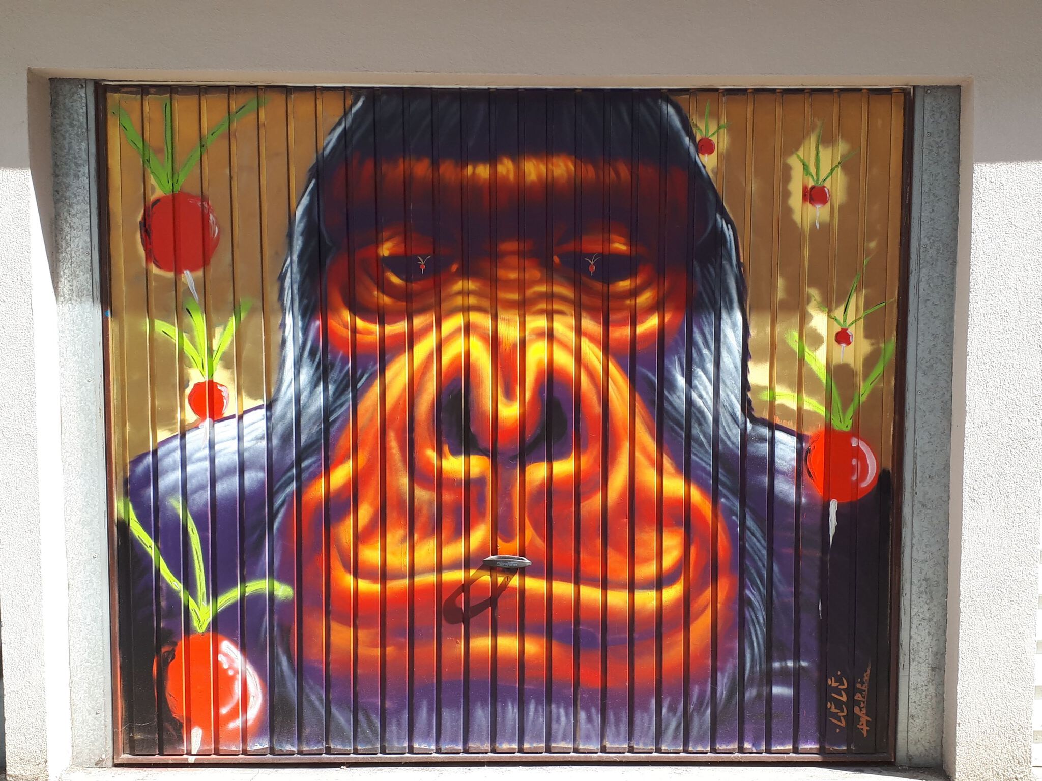 Dabanadadou&mdash;Le Singe