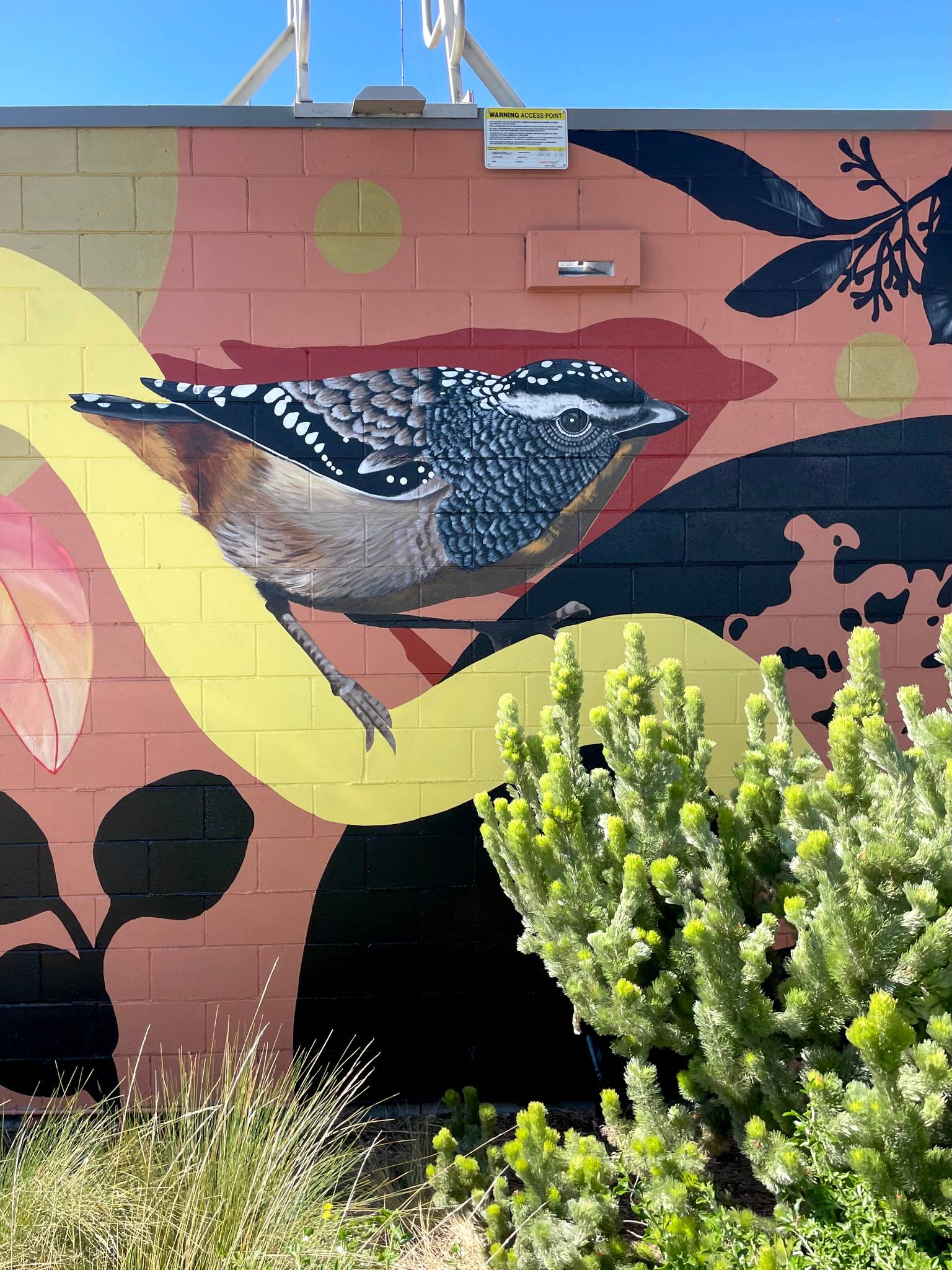 Melanie Caple&mdash;Locals