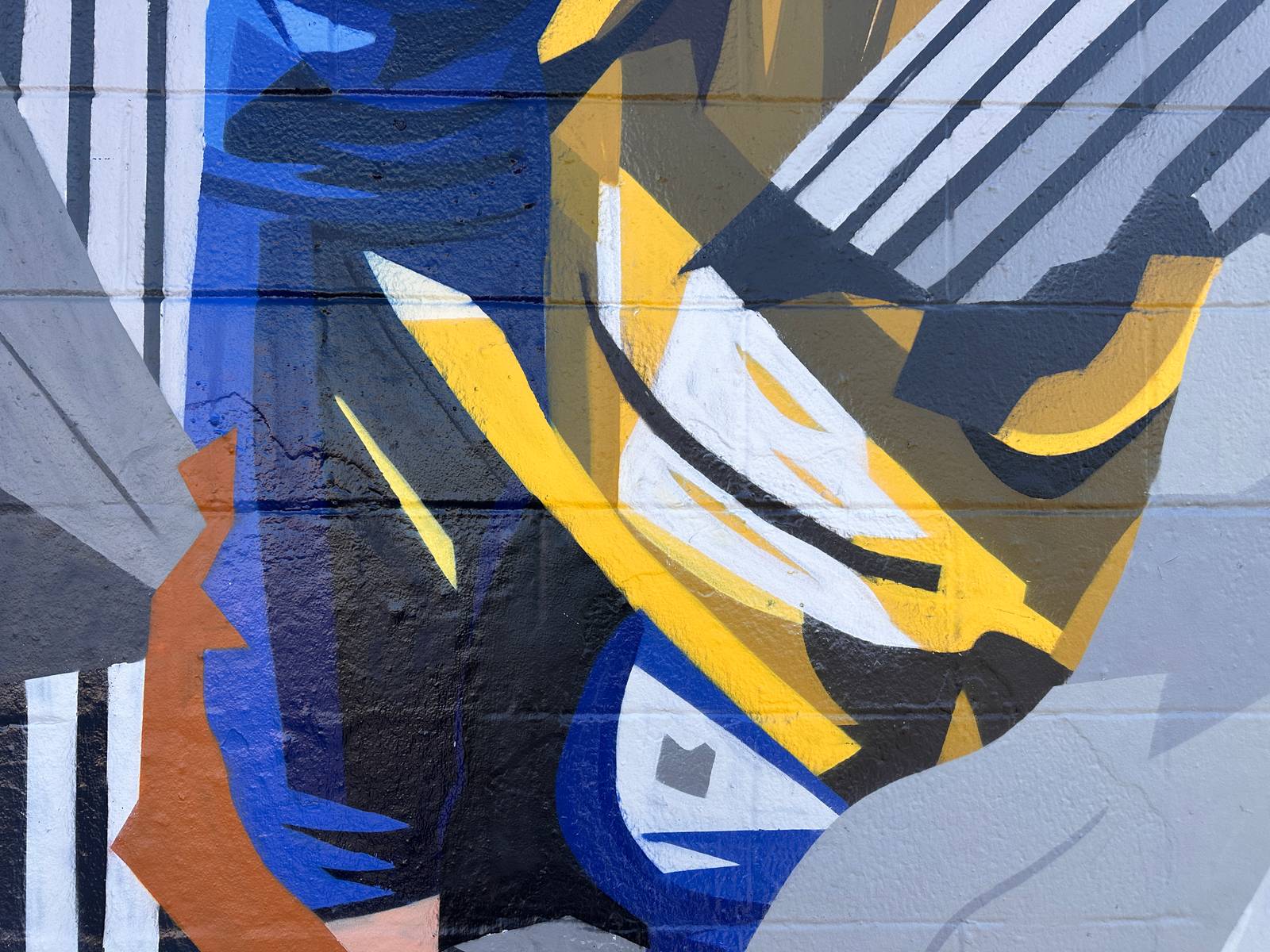Brian-peterson&mdash;Canvas of culture- Los Angeles Rams