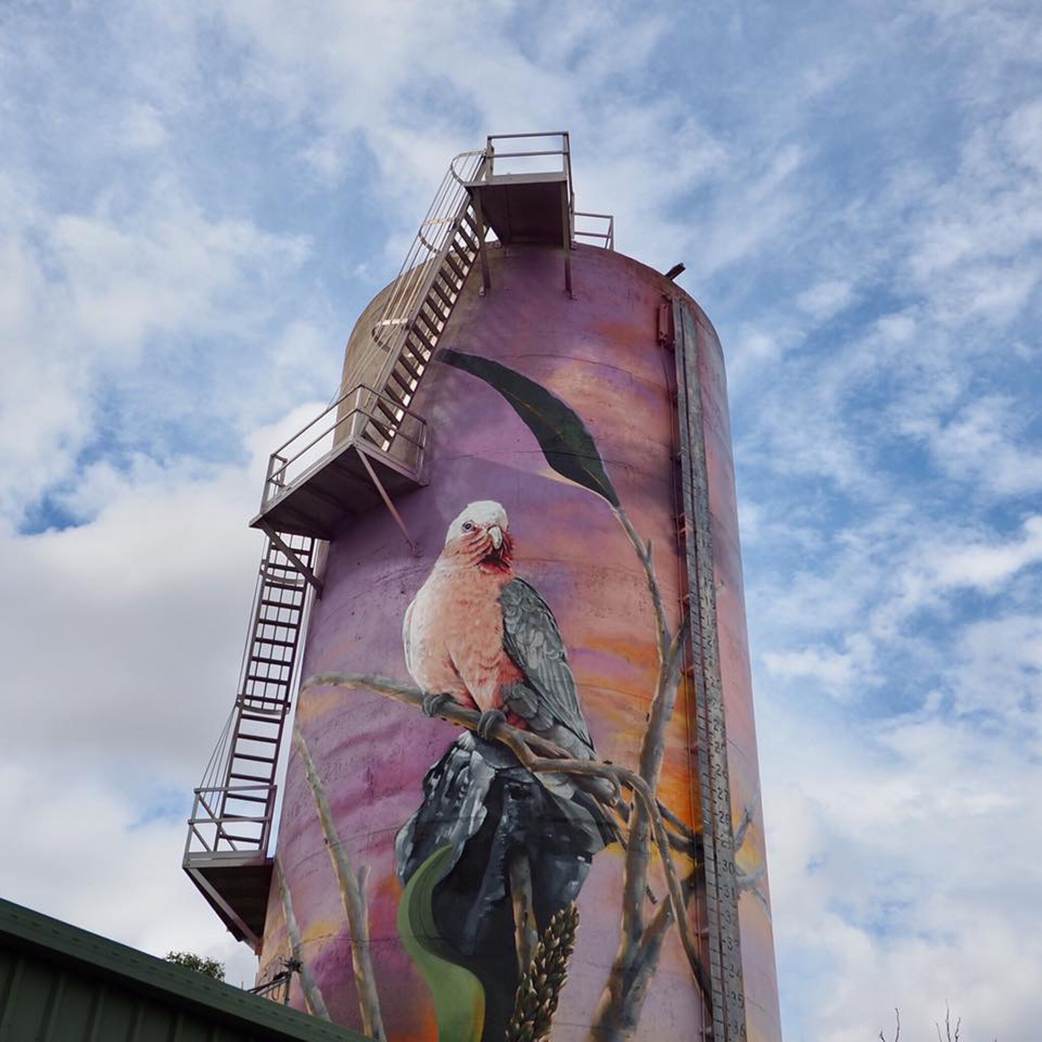 Sam Wilkinson (On The Leans)&mdash;Moura Water Tower