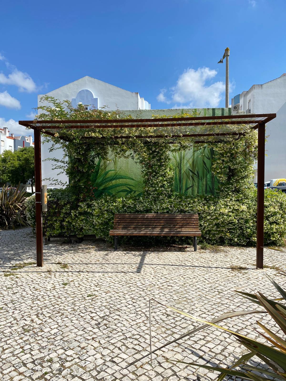 Ricardo Tota&mdash;undefined
