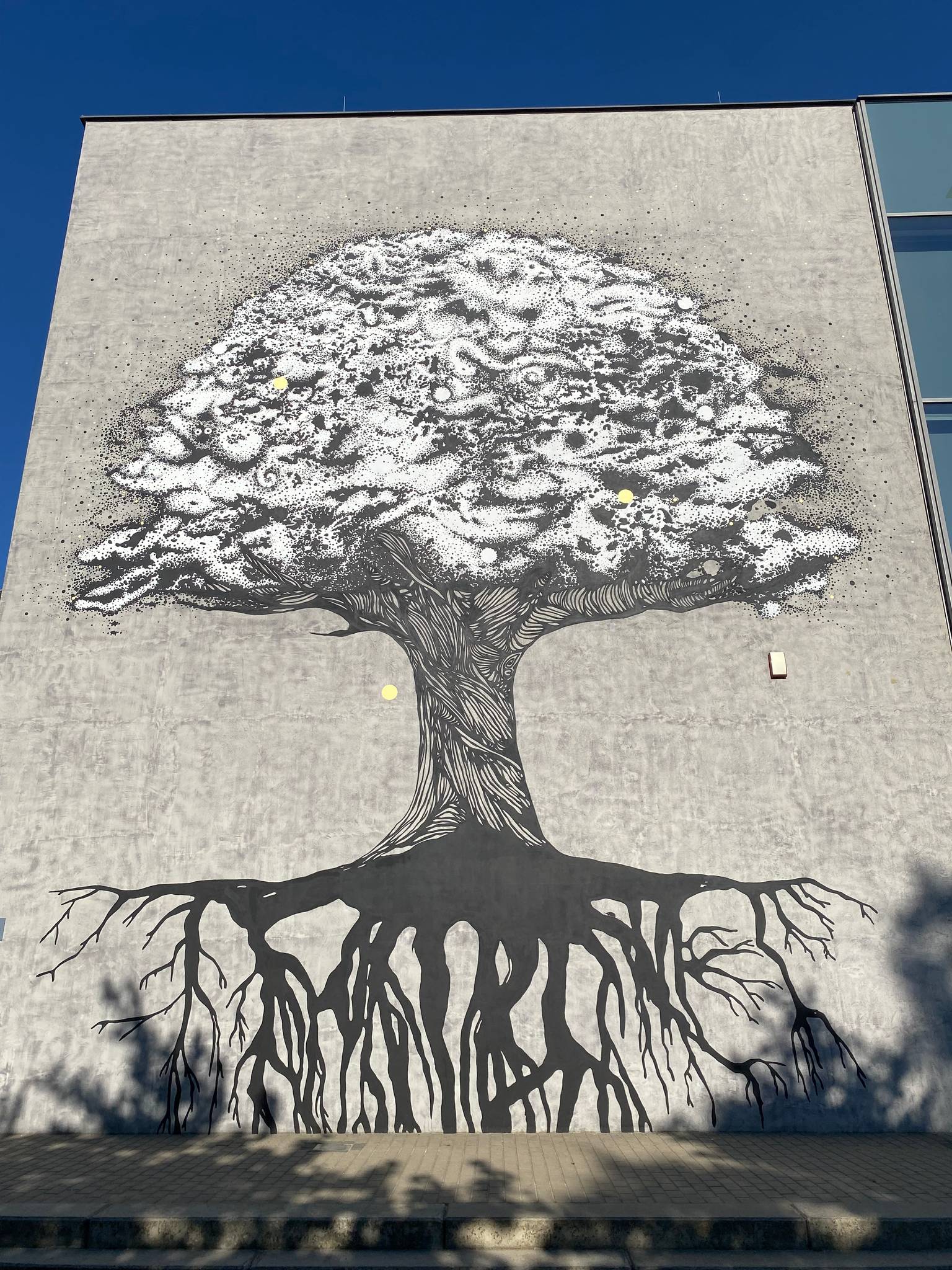 Aleksandra Ignasiak&mdash;Tree of life