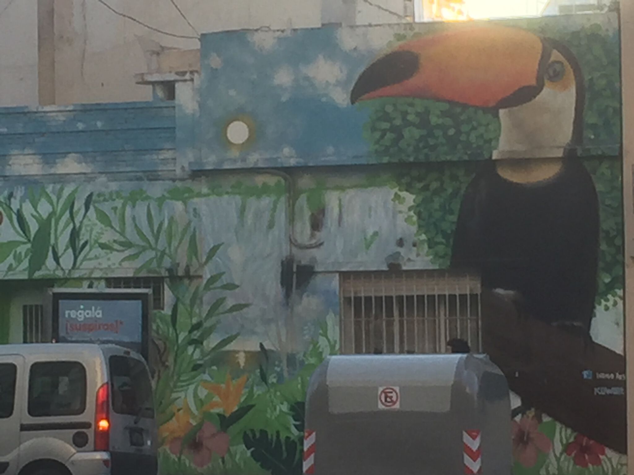 Unknown - Buenos Aires&mdash;Toucan